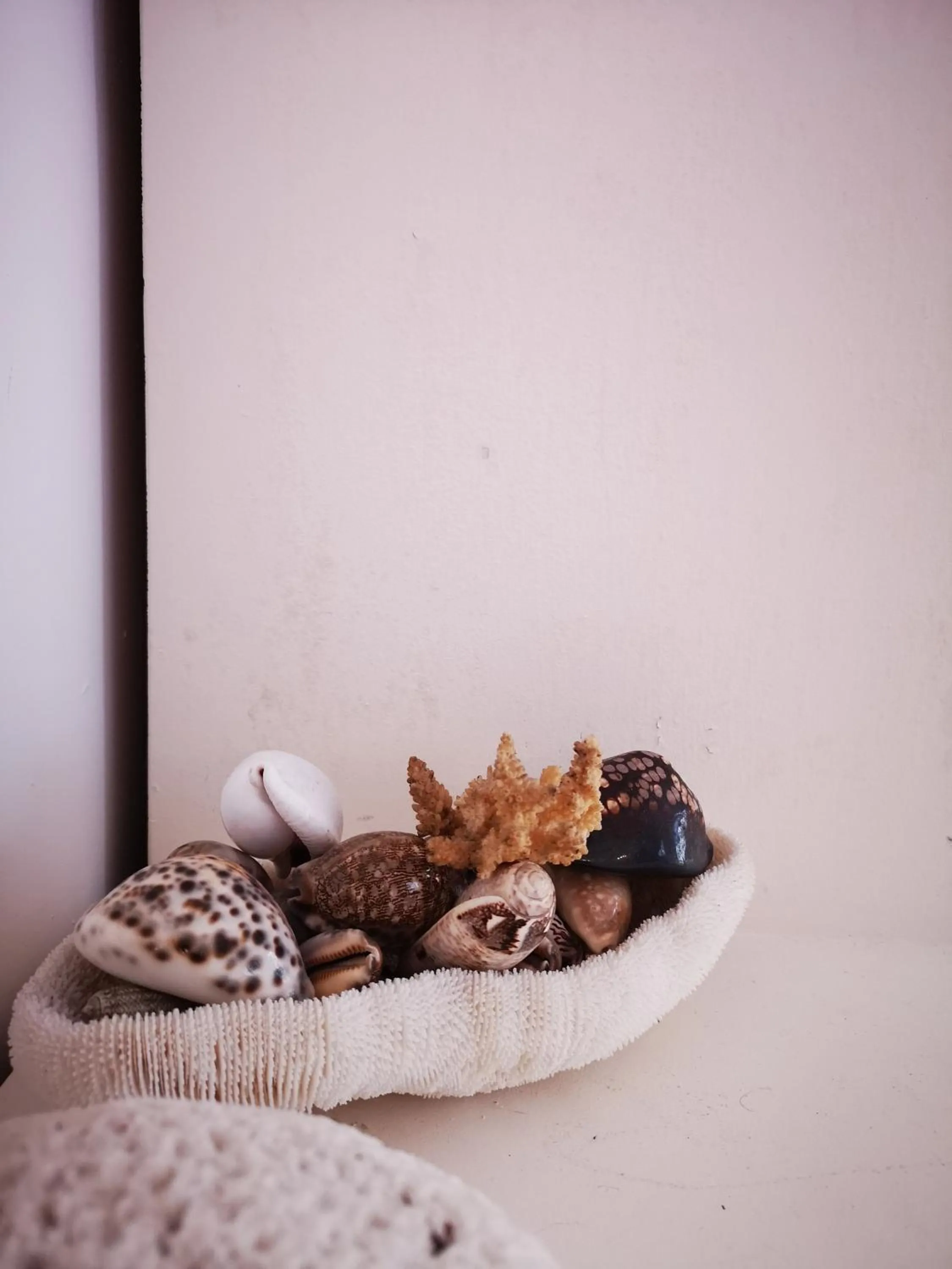 Garden in La Roseraie