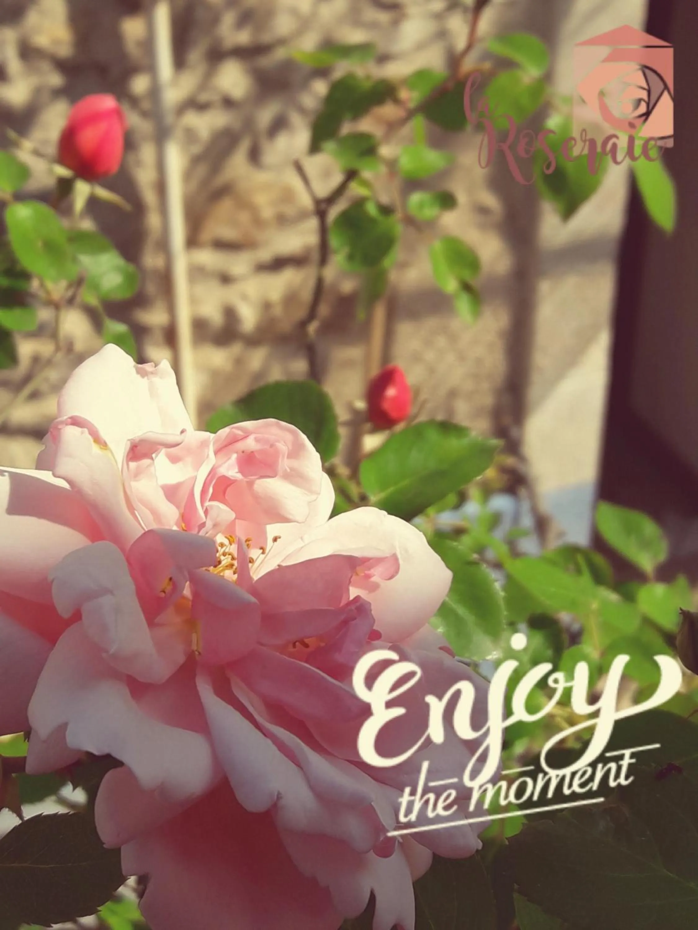 Spring in La Roseraie