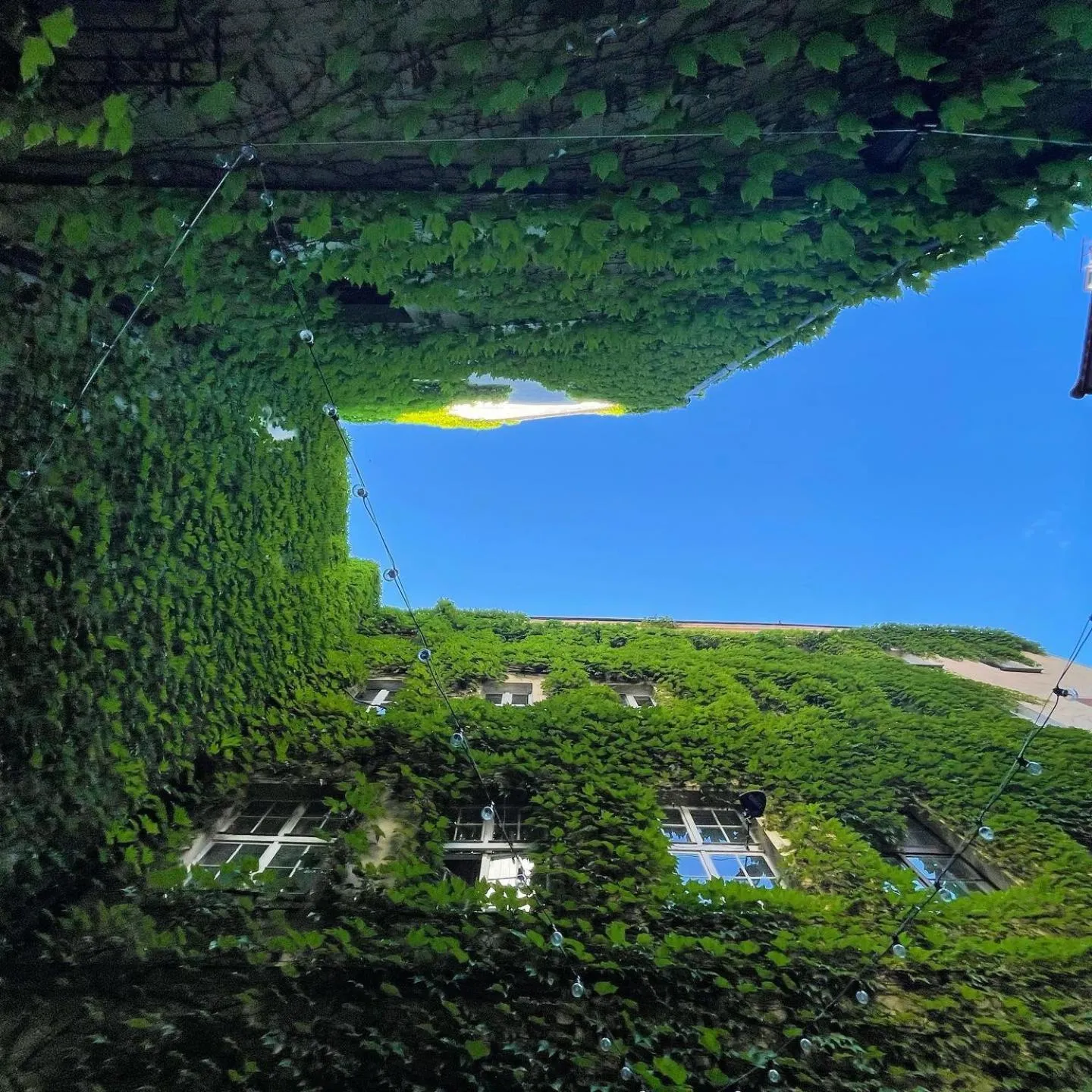 Property building in Hotel Dwór Polski