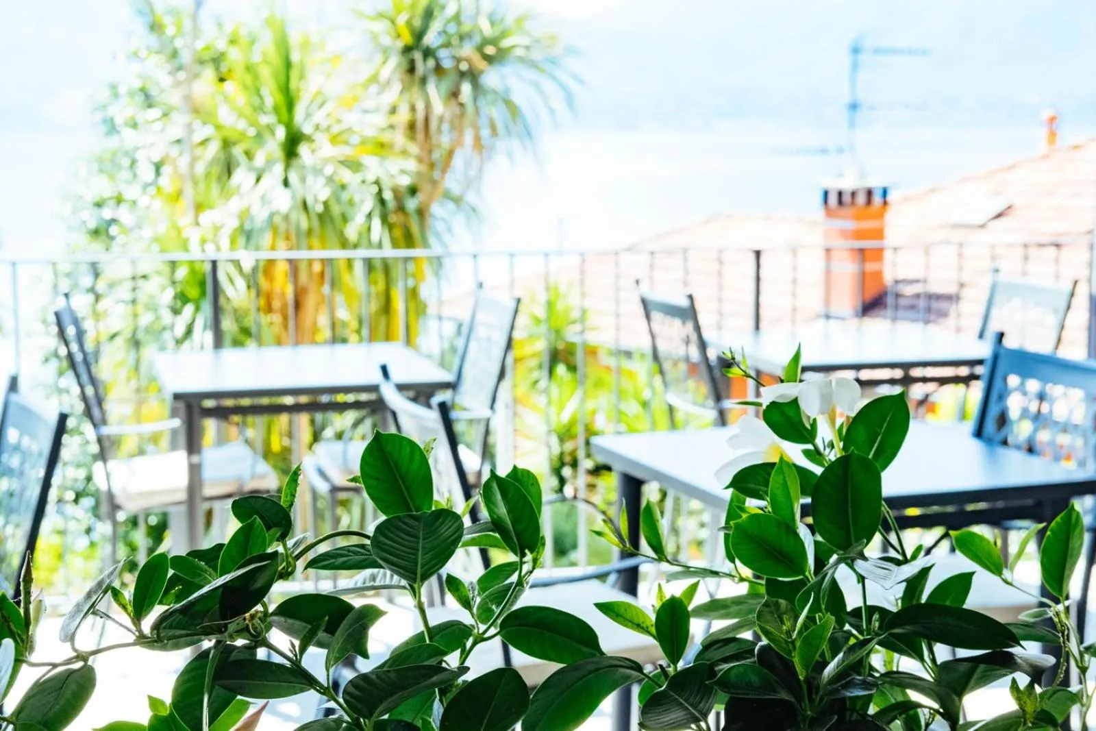 Balcony/Terrace in Hotel Sole