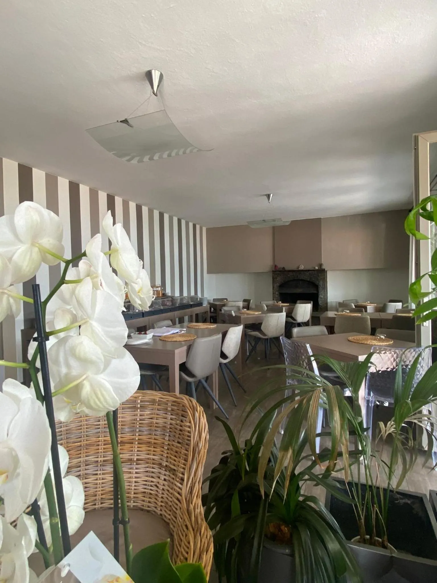 Restaurant/places to eat in Hotel Sole