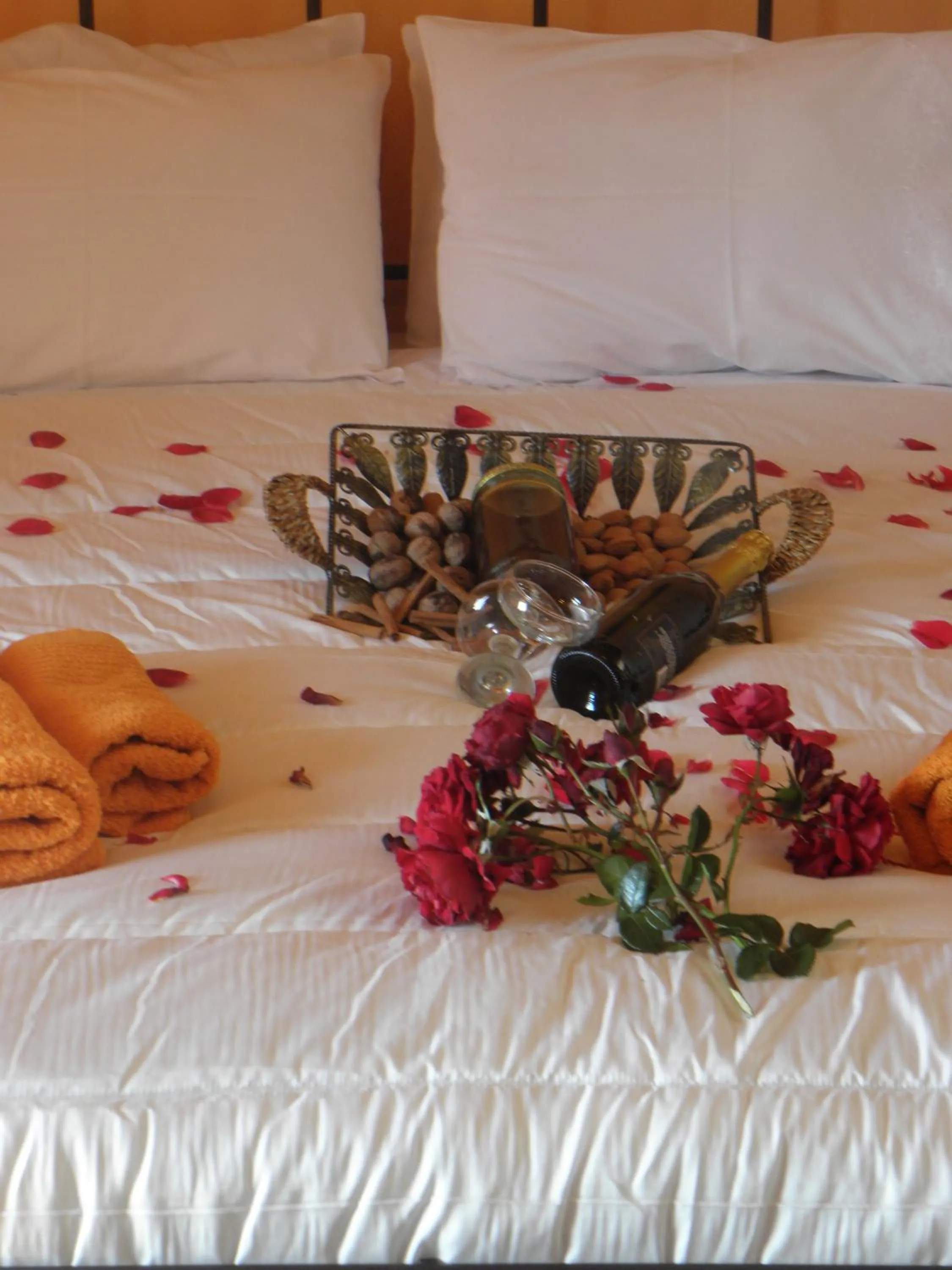 Superior Double or Twin Room in Koustenis Village