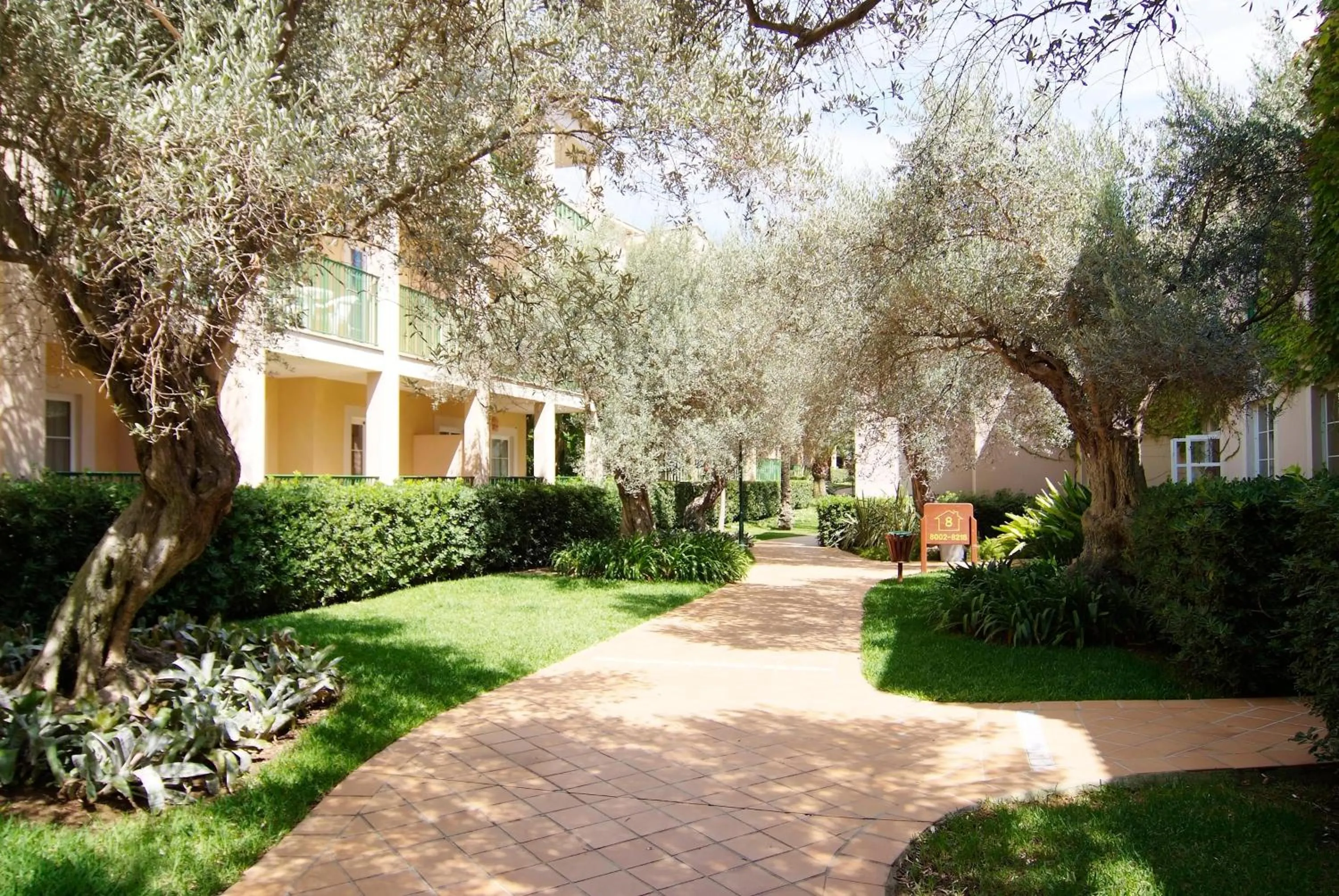 Garden in Zafiro Cala Mesquida