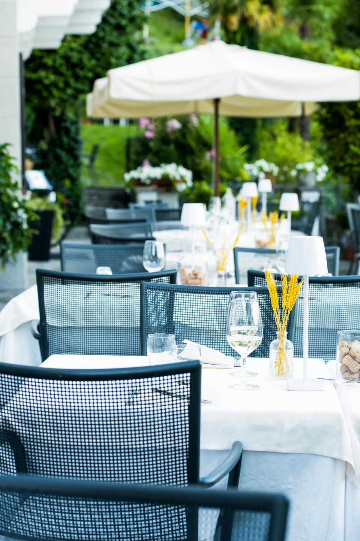 Restaurant/places to eat in Hotel La Rondinella