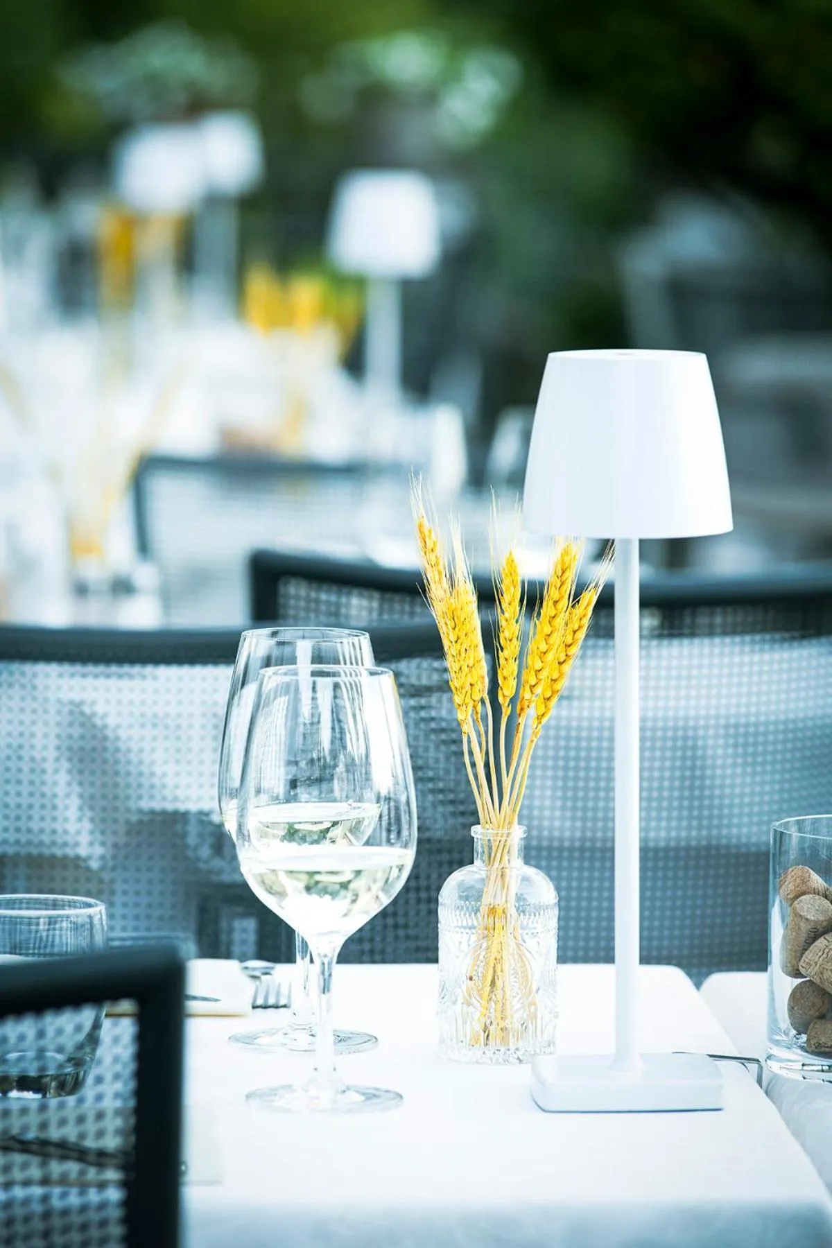 Restaurant/places to eat in Hotel La Rondinella