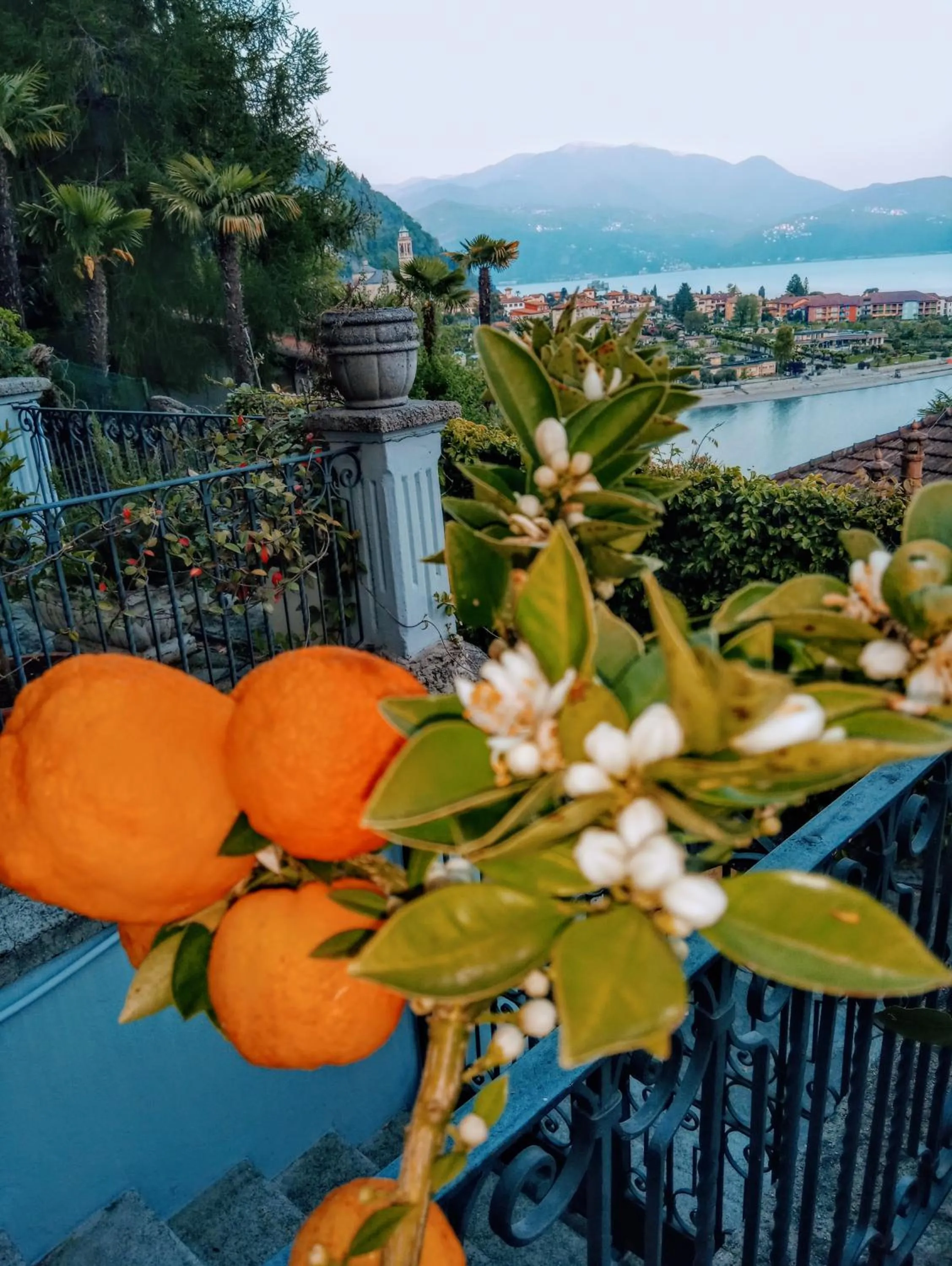 Winter in Hotel La Rondinella