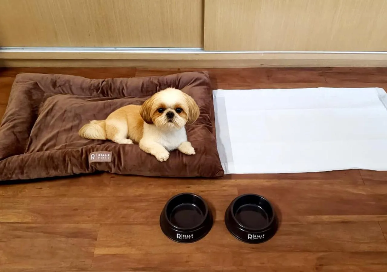 Riale Vilamar Copacabana