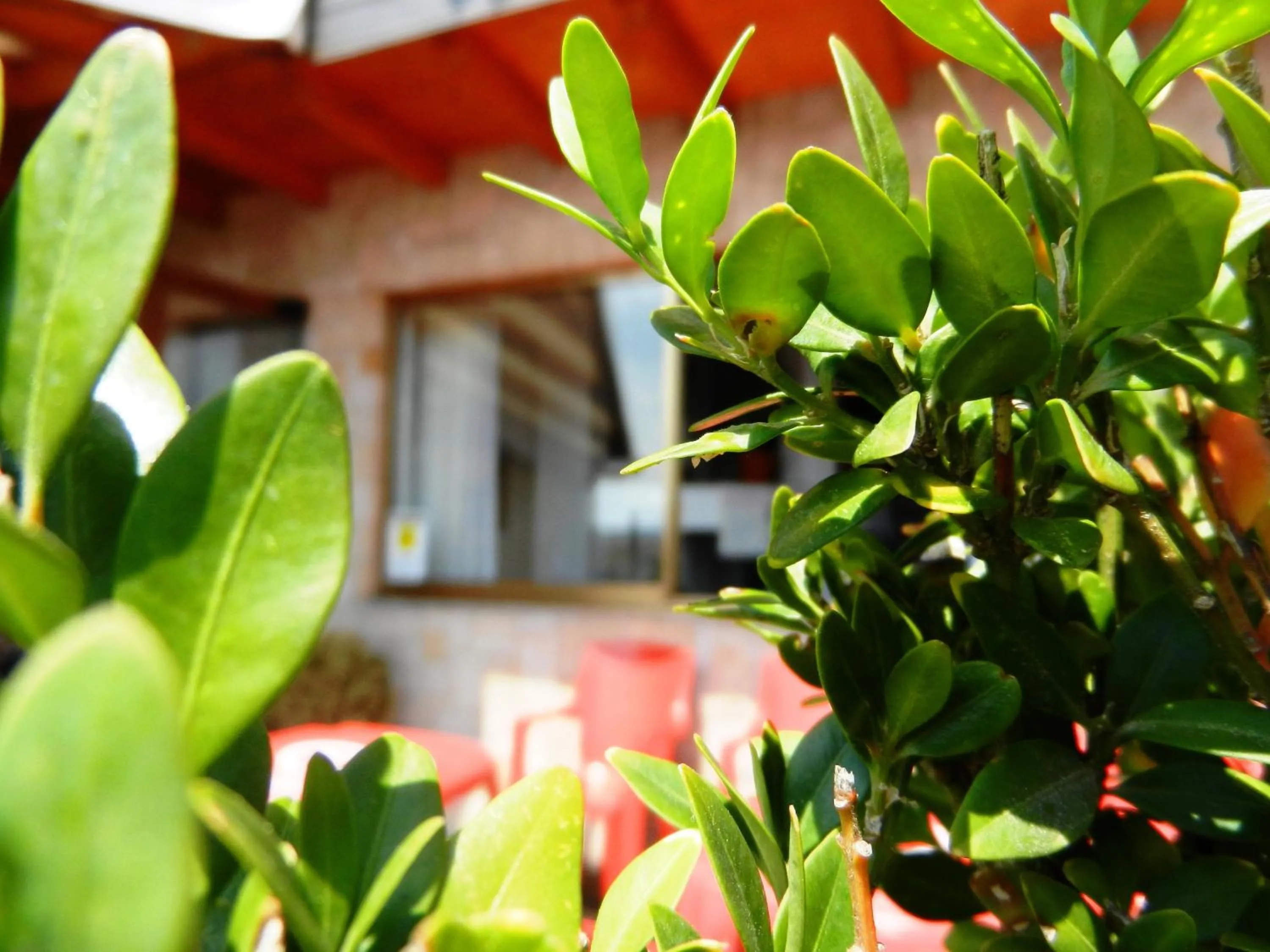 Facade/entrance in Albergo Milano