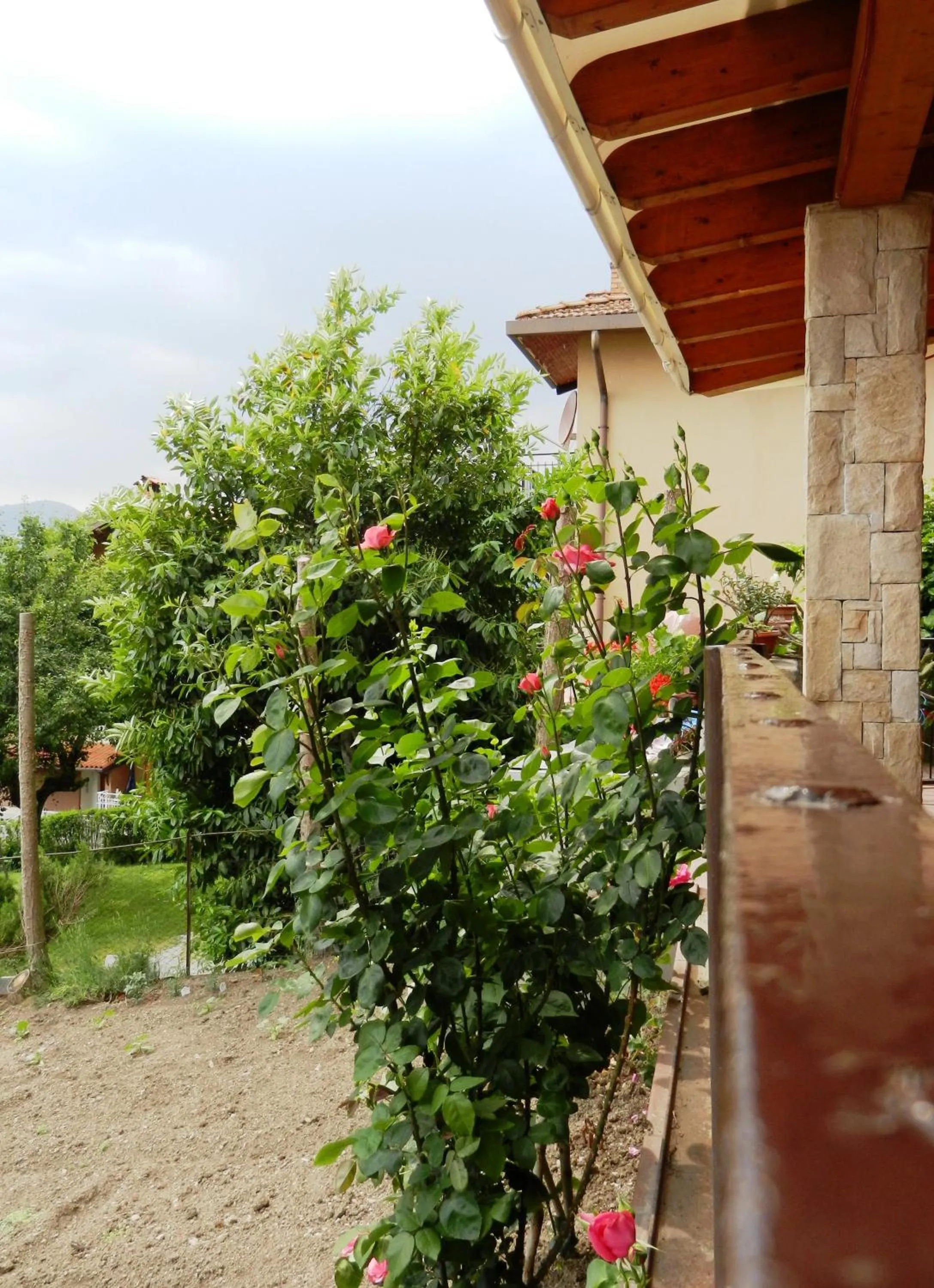 Garden in Albergo Milano