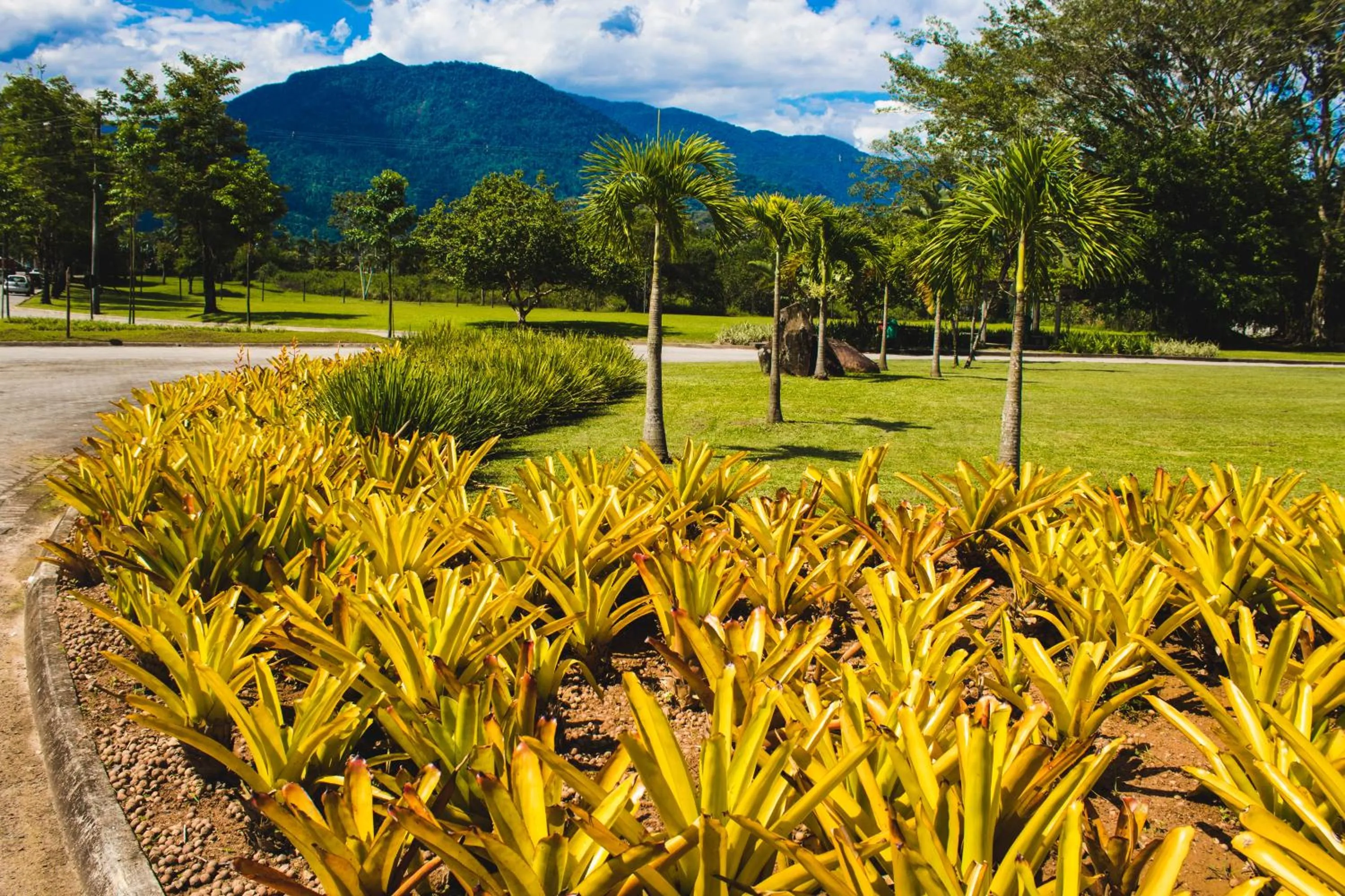 Nearby landmark in Angra TOP1 Praia Piscina Marina 2 quartos