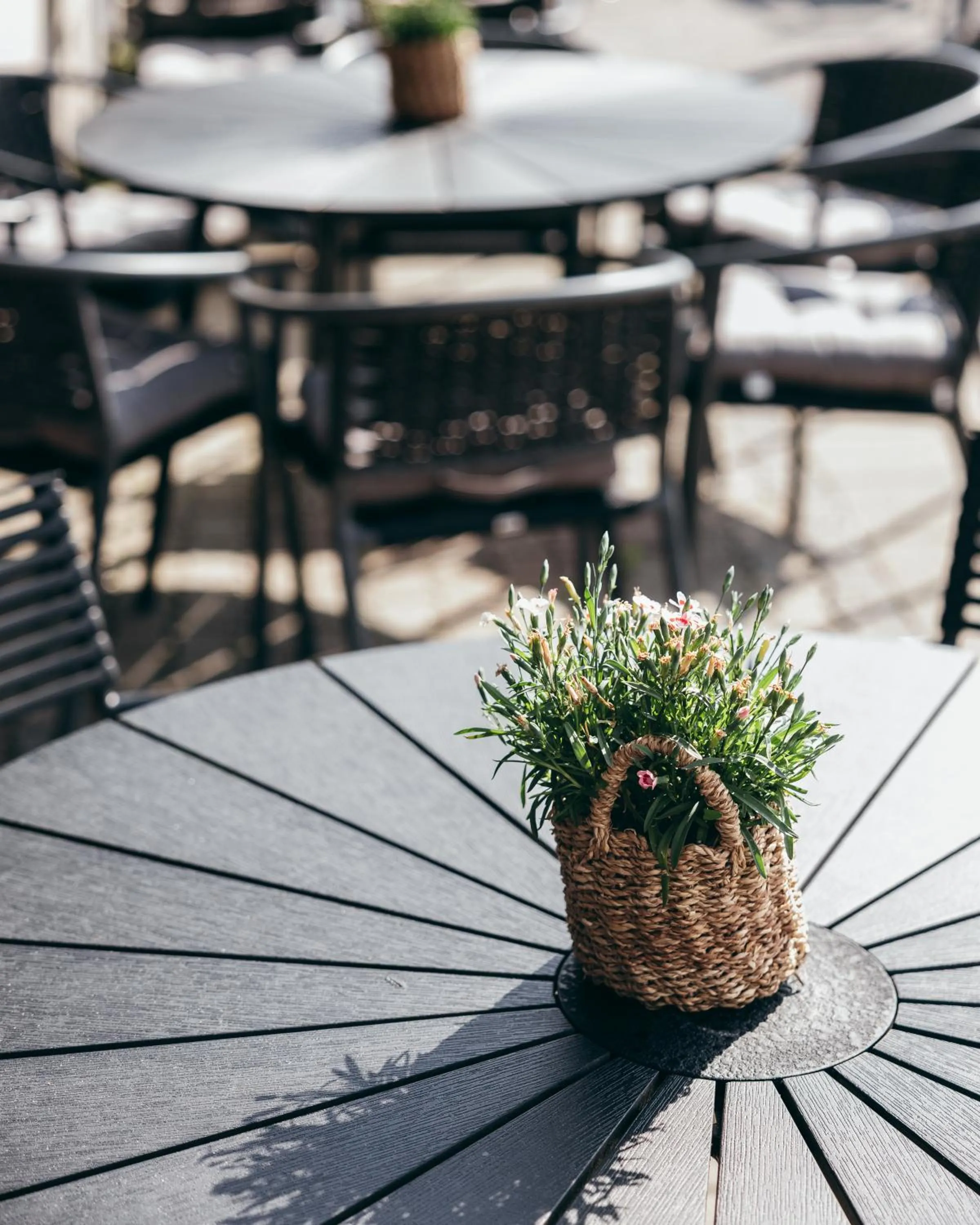 Day in Live Lofoten Hotel