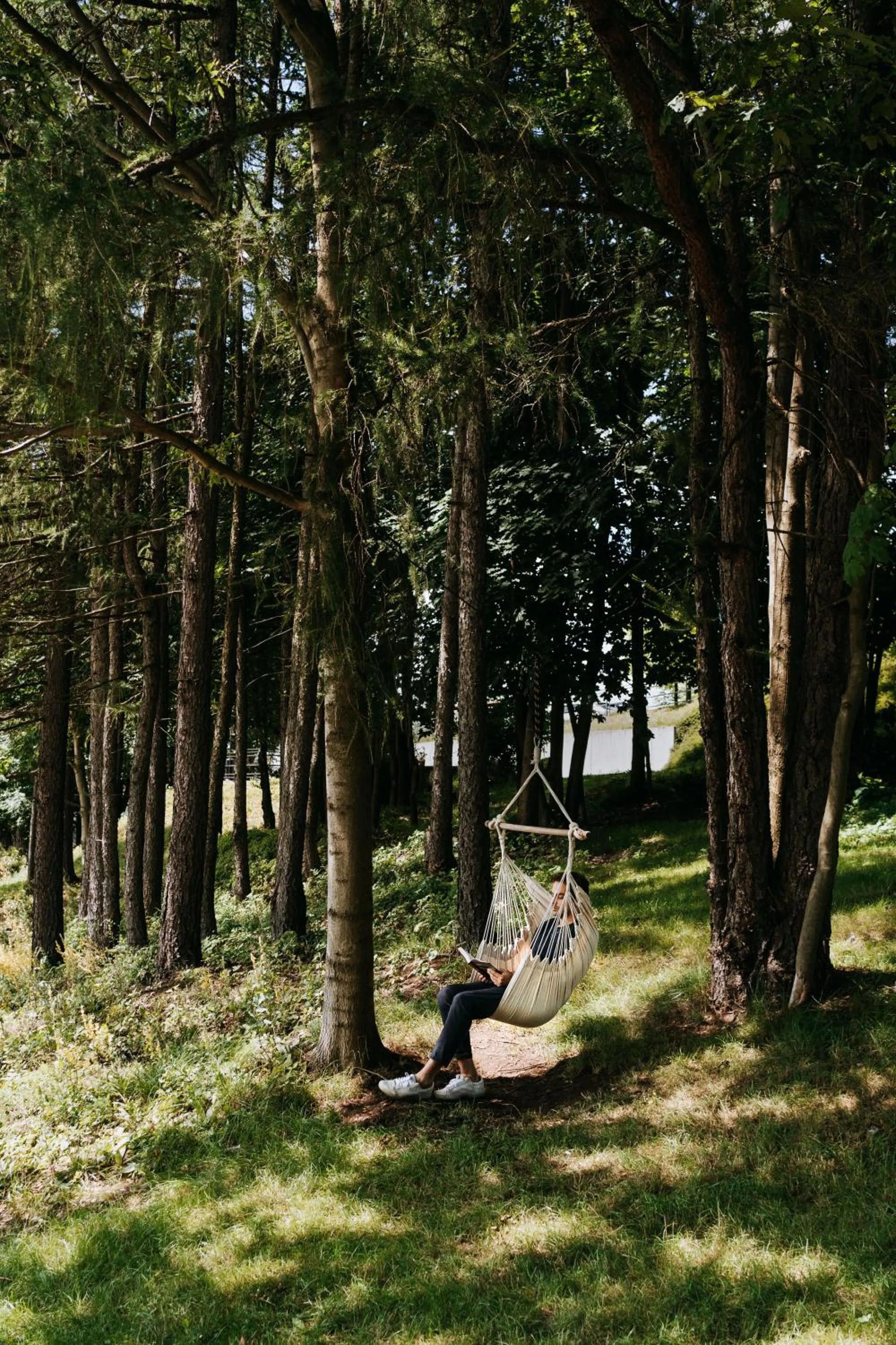 View (from property/room) in Poziom 511 Jura Wellness Hotel & Spa