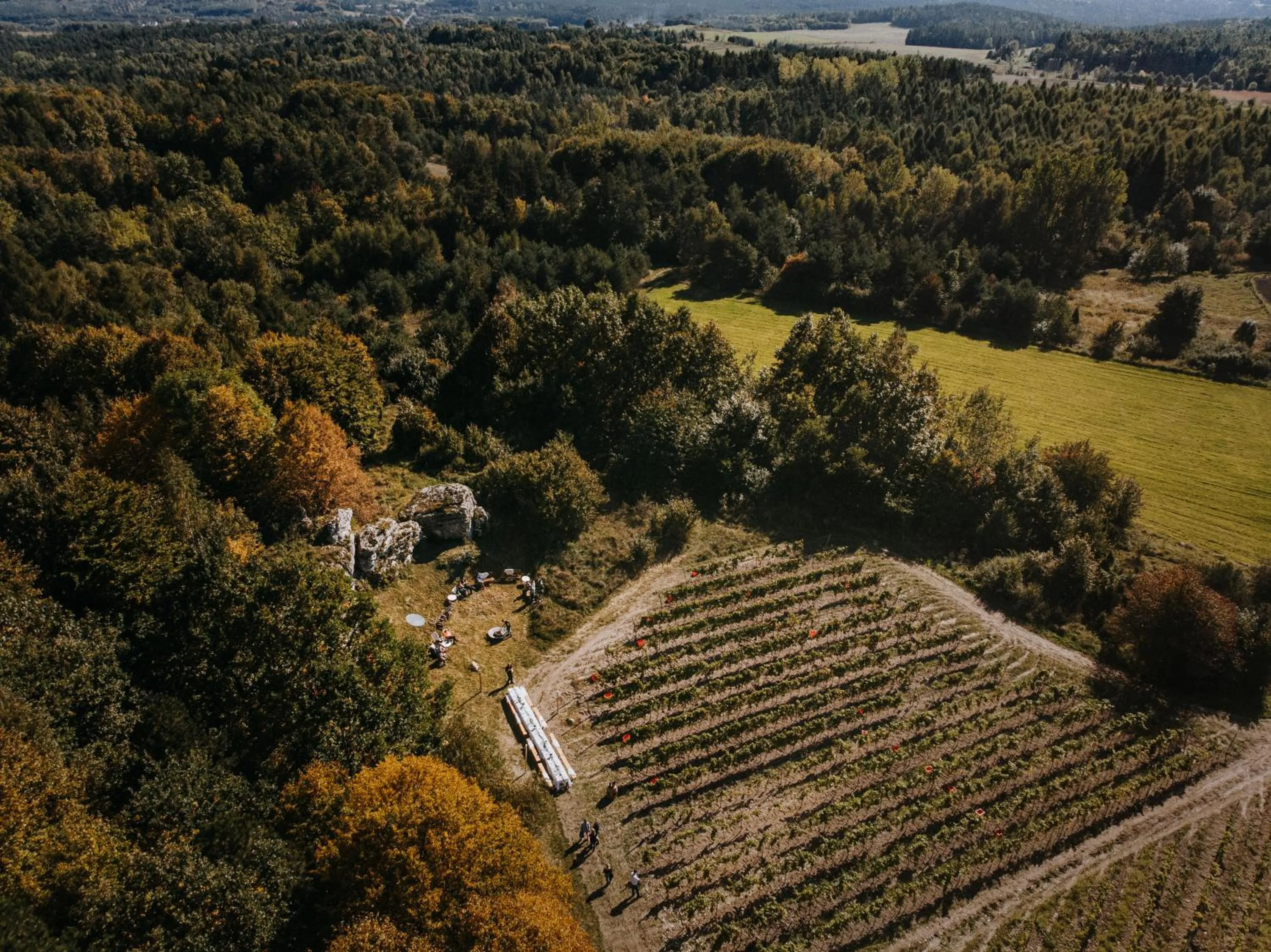 Bird's eye view in Poziom 511 Jura Wellness Hotel & Spa