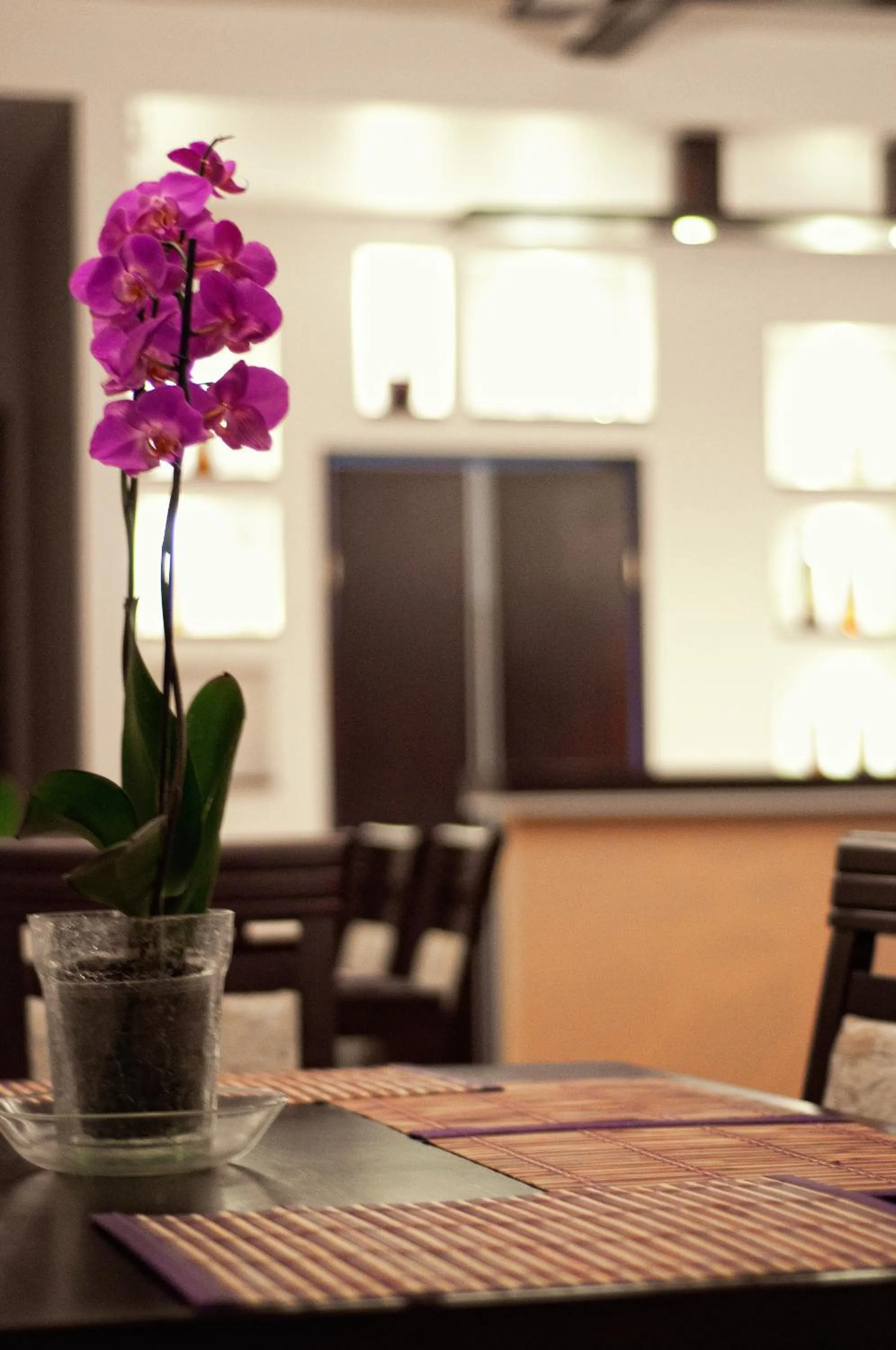 Restaurant/places to eat in Hotel-24