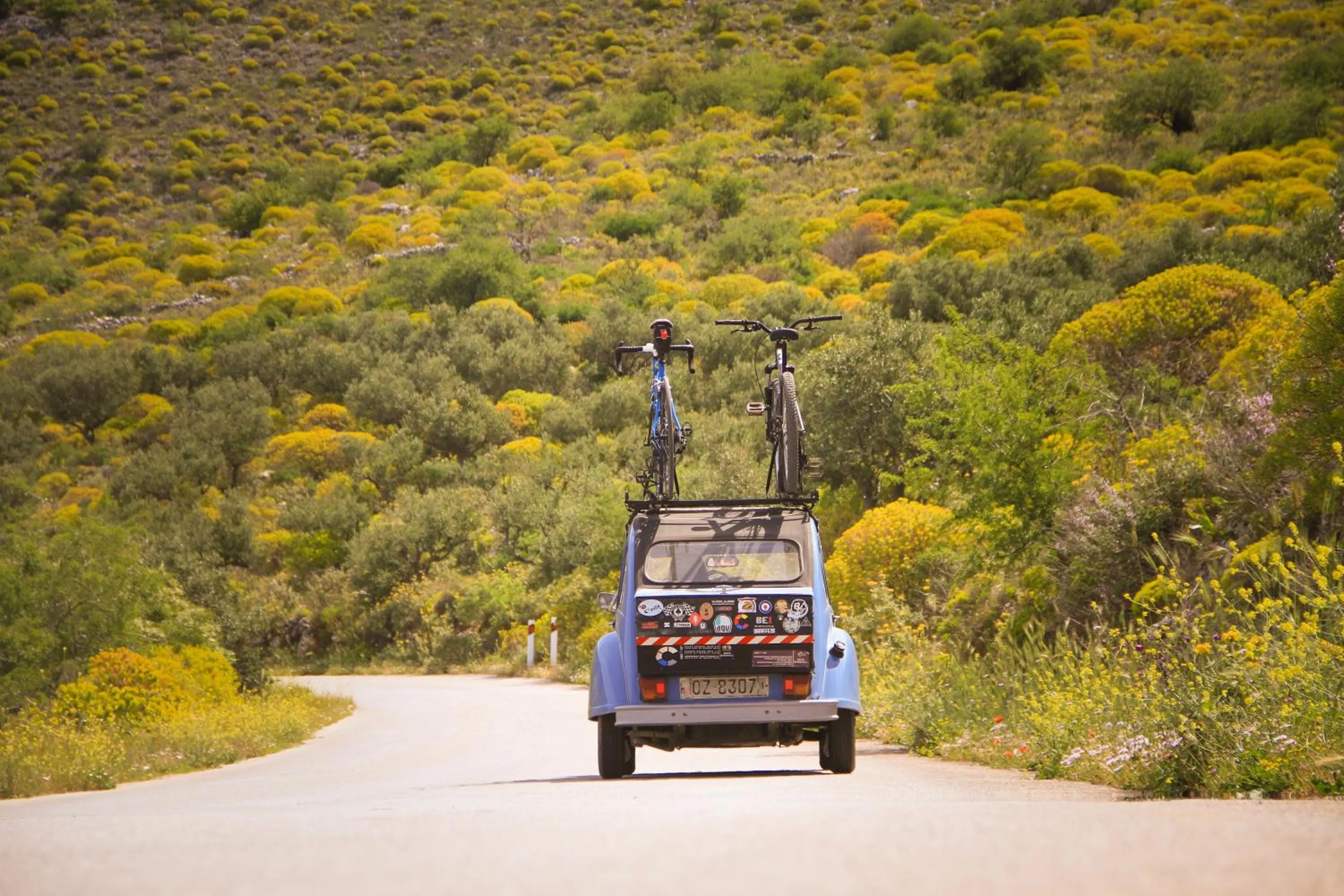 Nearby landmark in Palataki