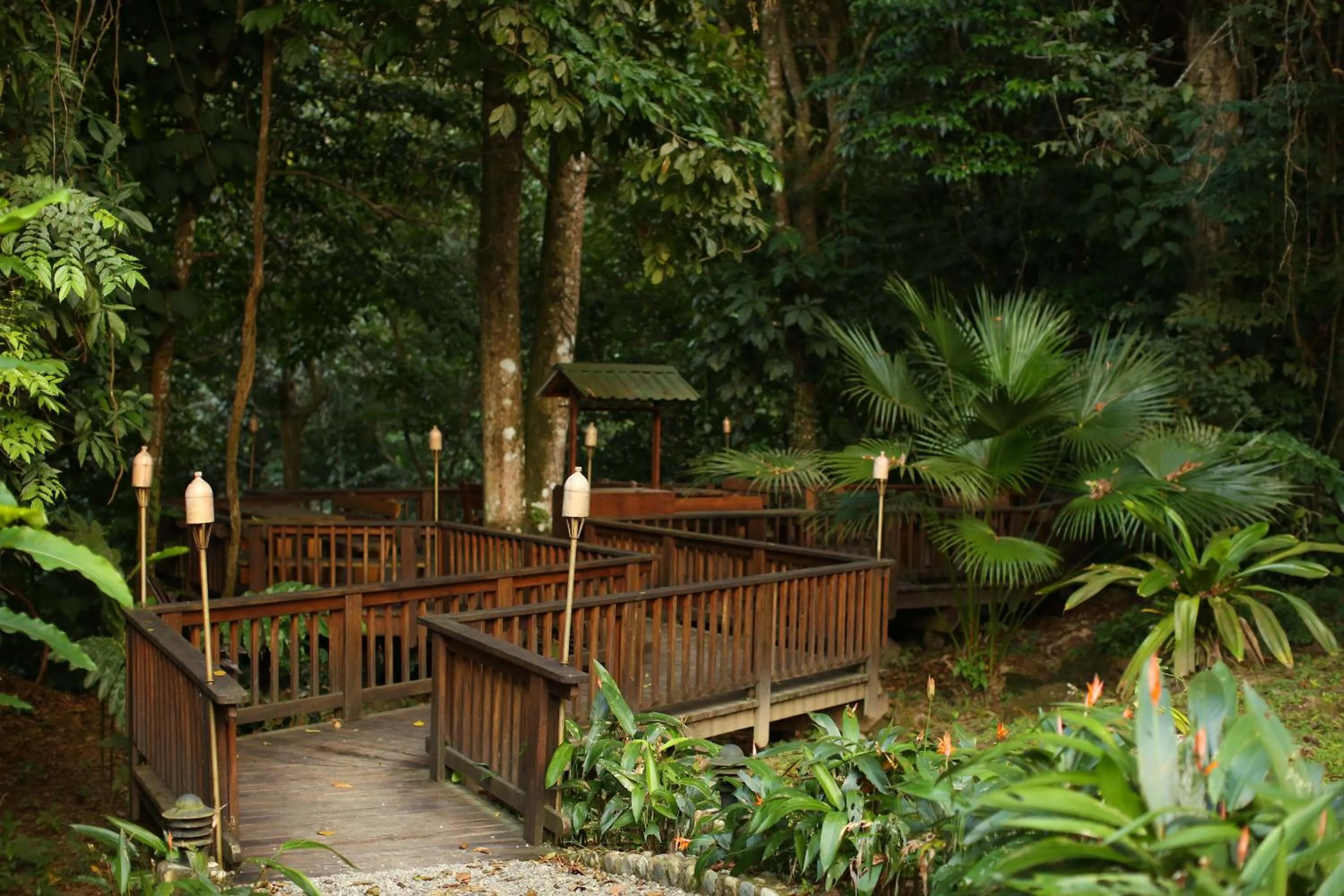 Patio in The Lodge at Pico Bonito