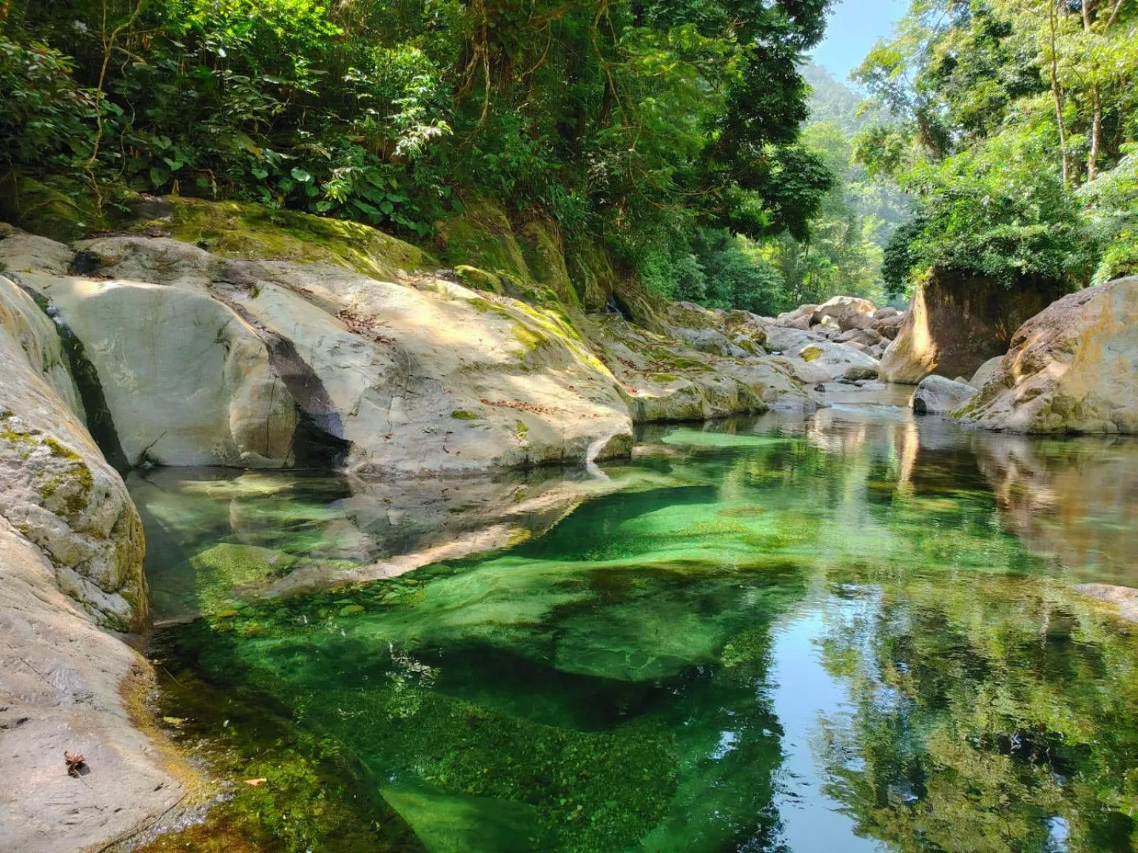 River view in The Lodge at Pico Bonito