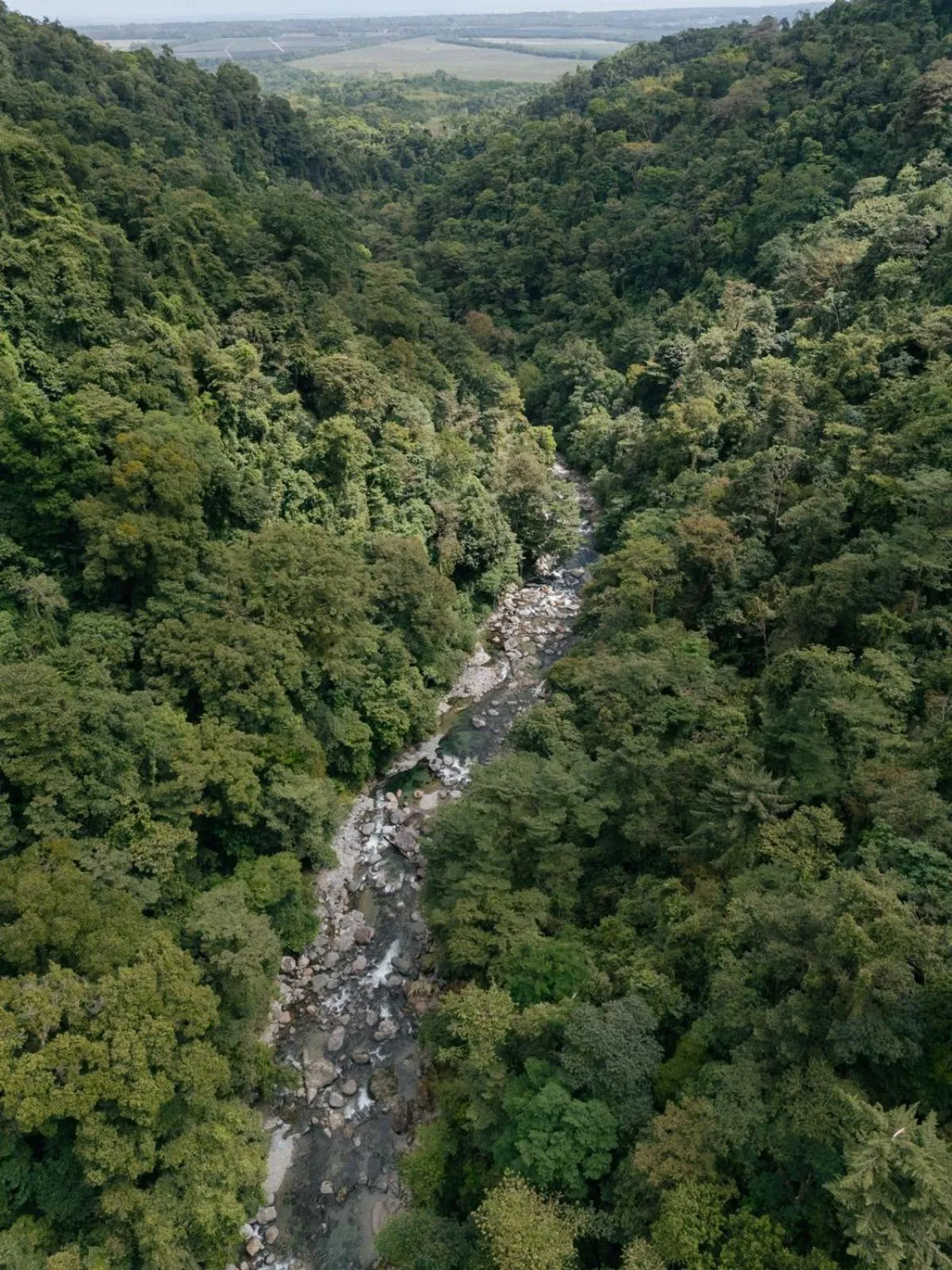 River view in The Lodge at Pico Bonito