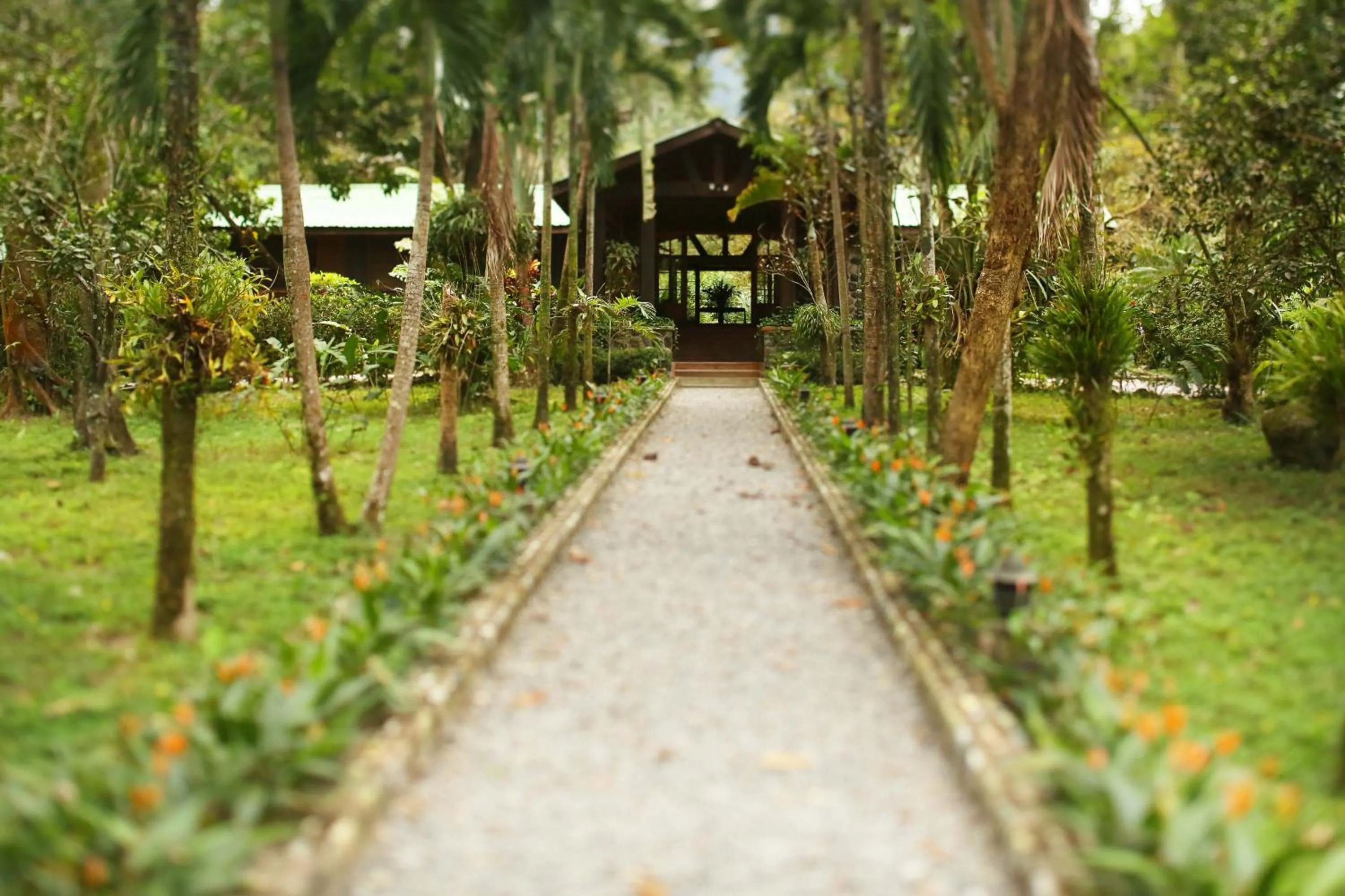 Facade/entrance in The Lodge at Pico Bonito