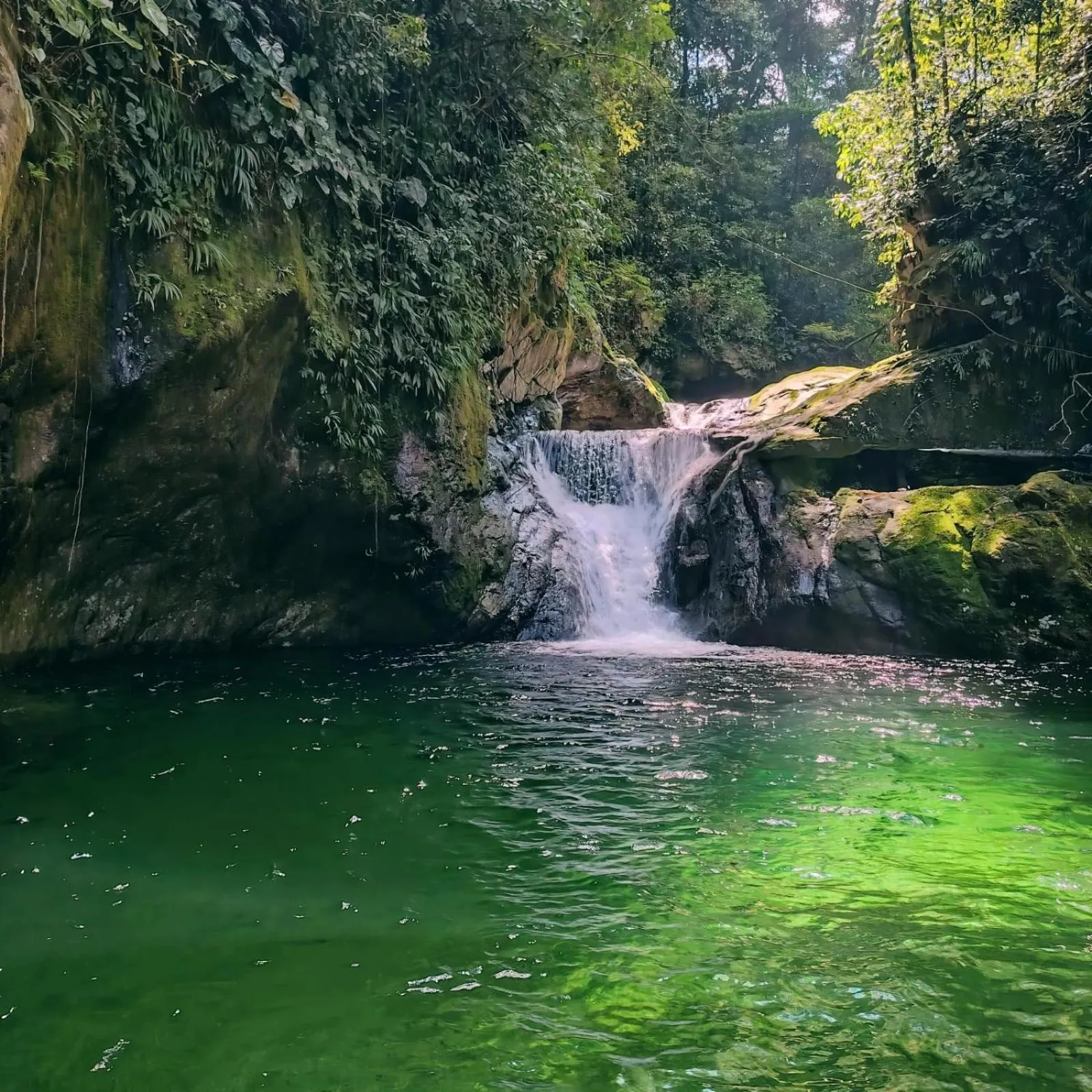 River view in The Lodge at Pico Bonito