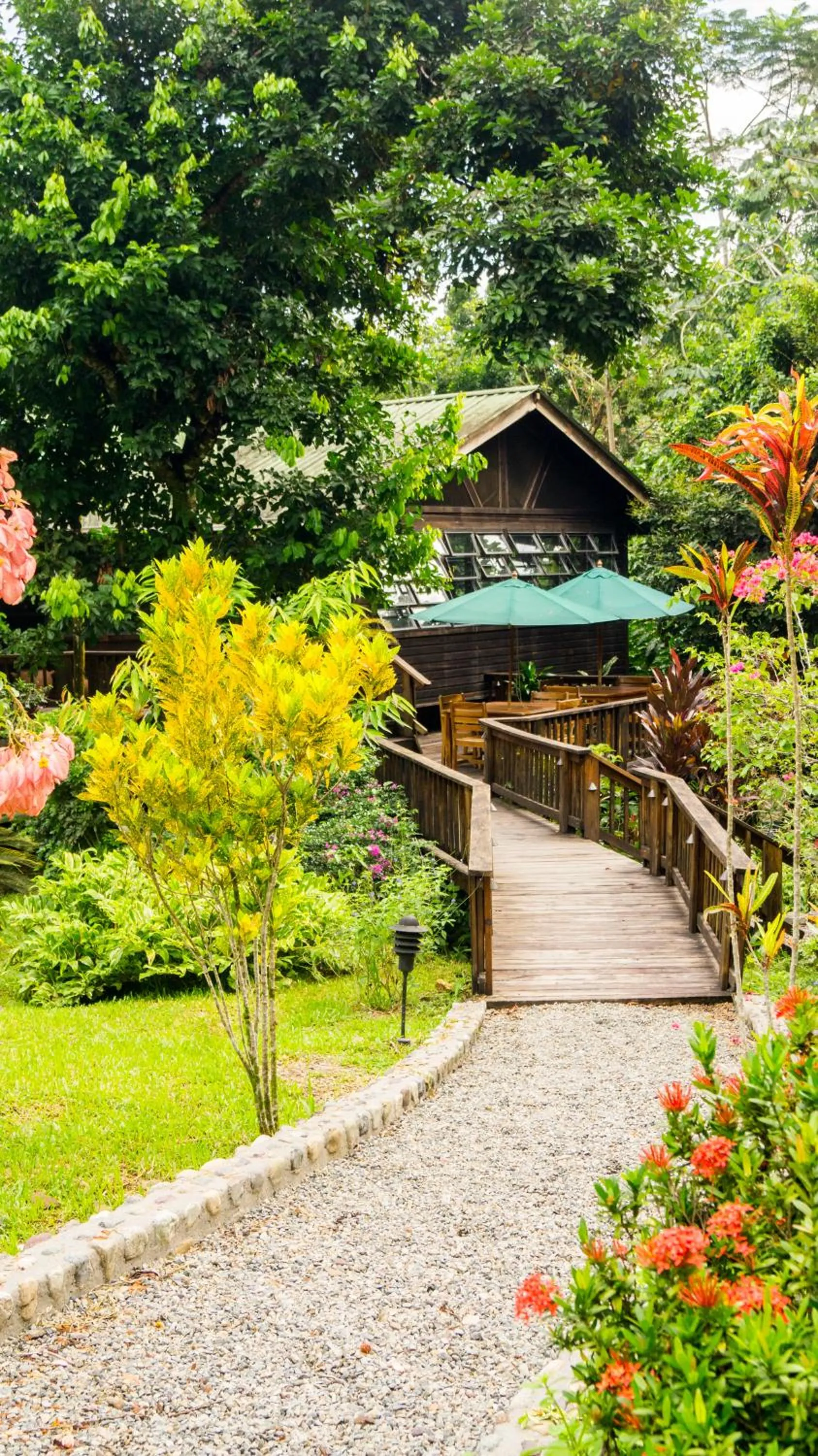 Garden in The Lodge at Pico Bonito