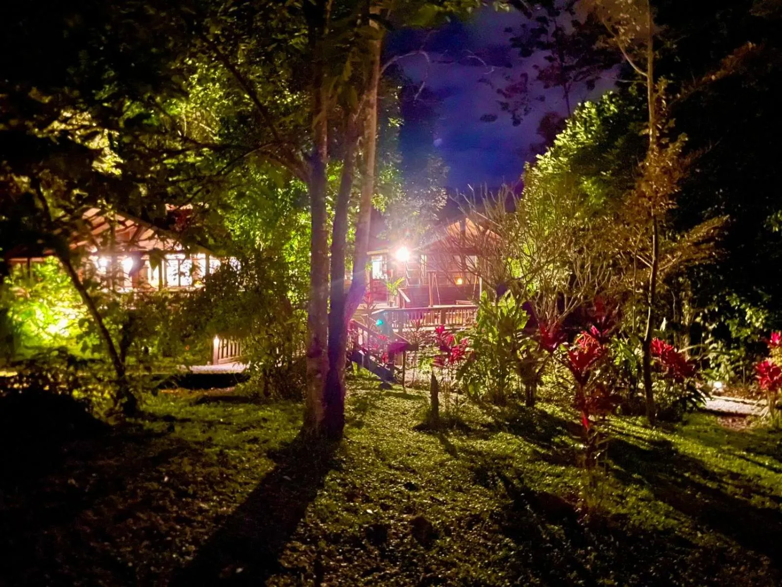 Garden in The Lodge at Pico Bonito