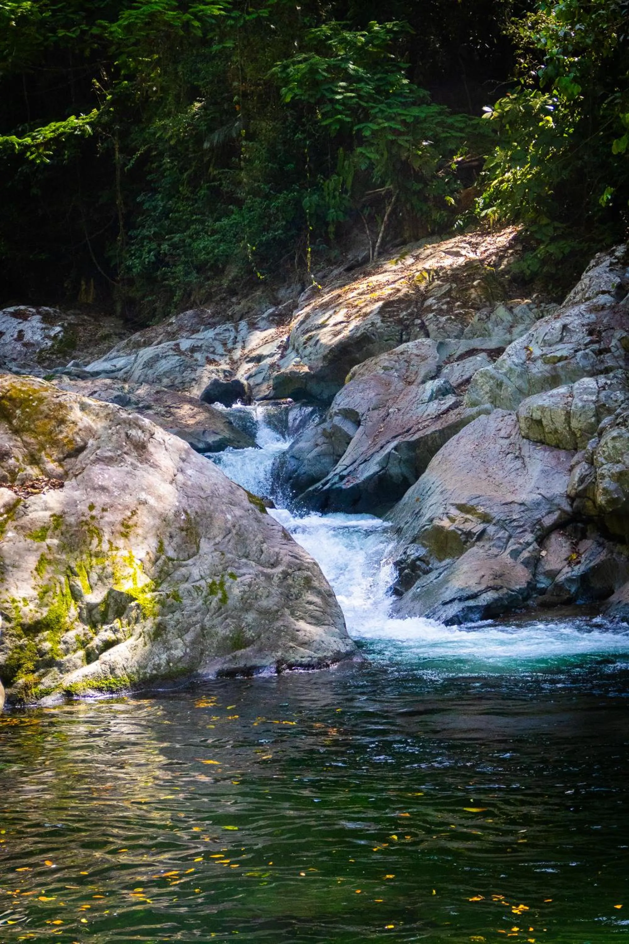 River view in The Lodge at Pico Bonito