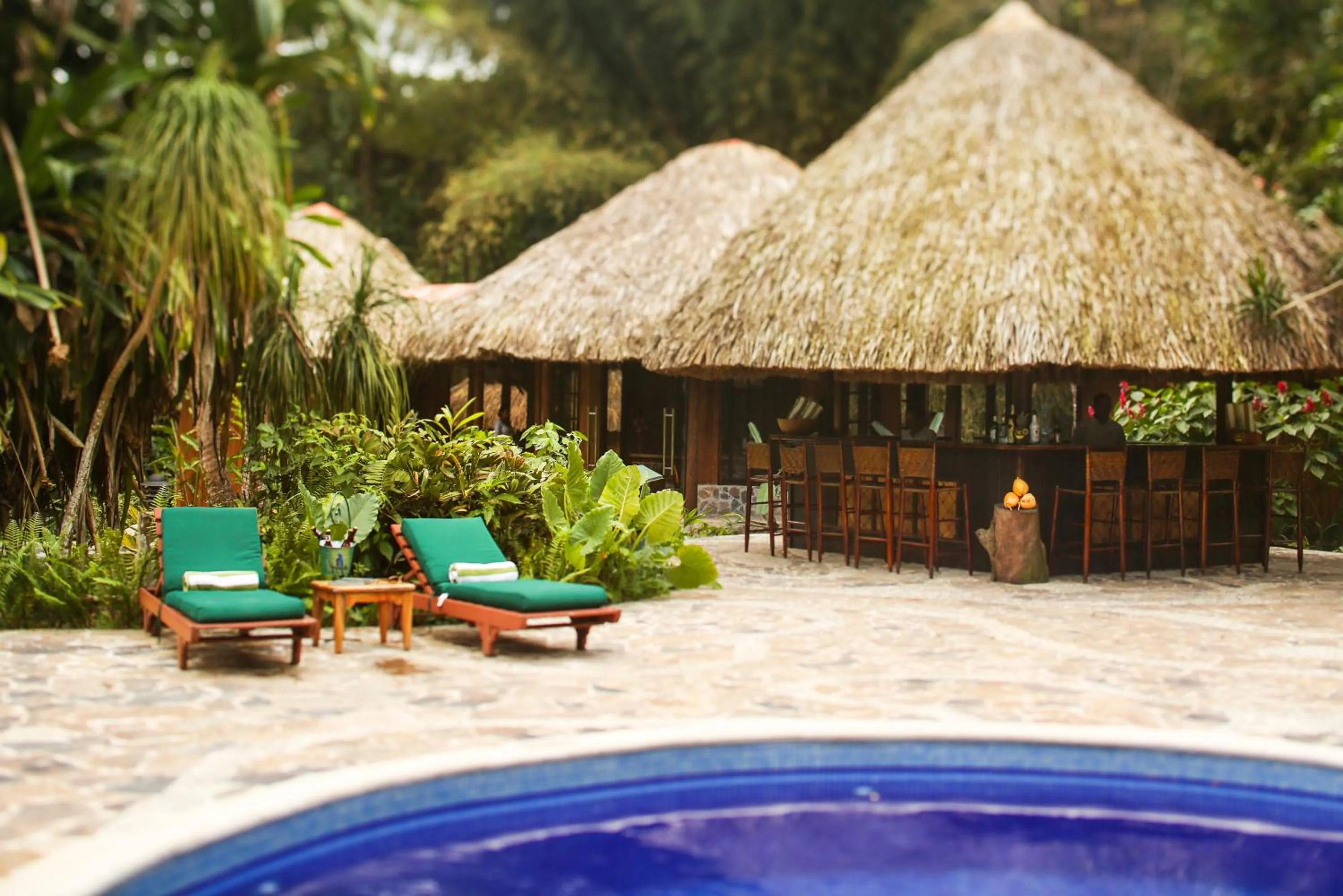Lounge or bar in The Lodge at Pico Bonito