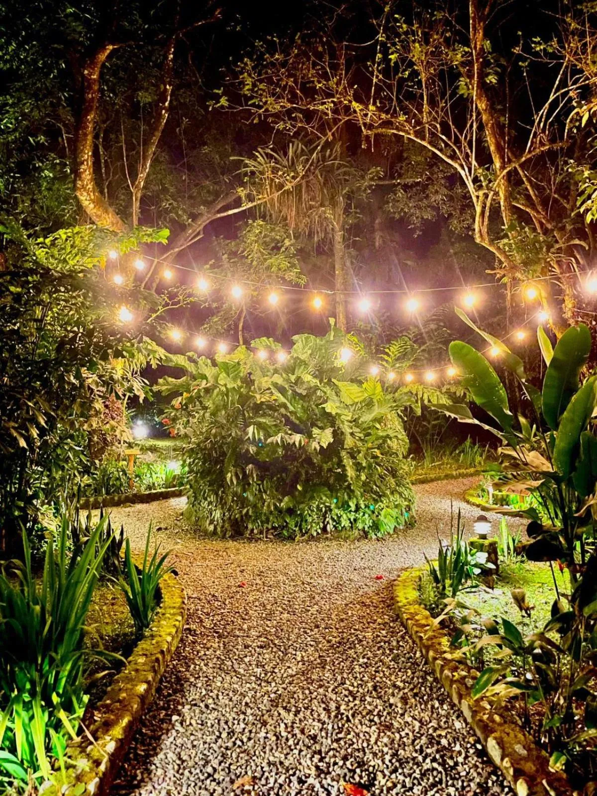 Garden in The Lodge at Pico Bonito