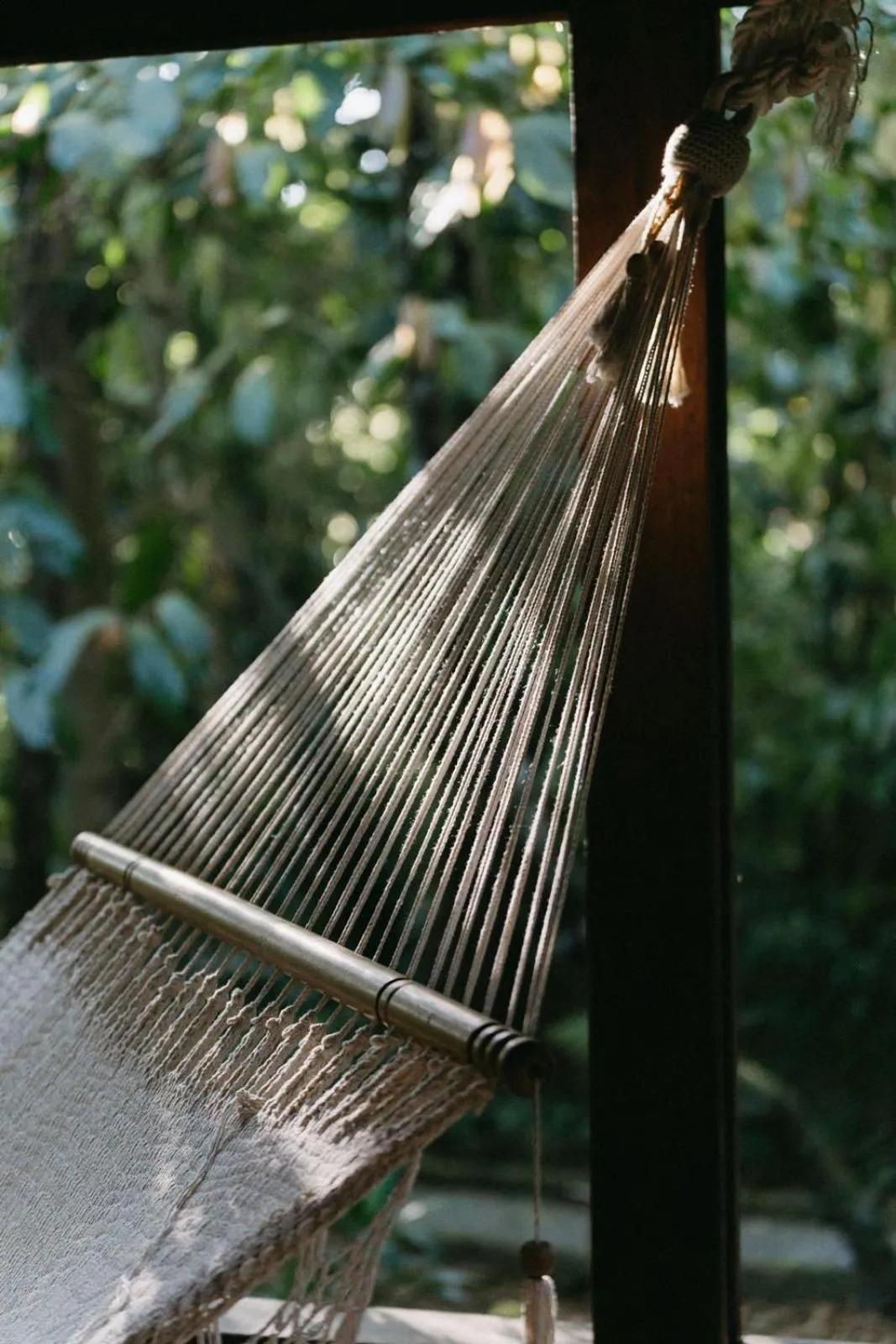 Natural landscape in The Lodge at Pico Bonito
