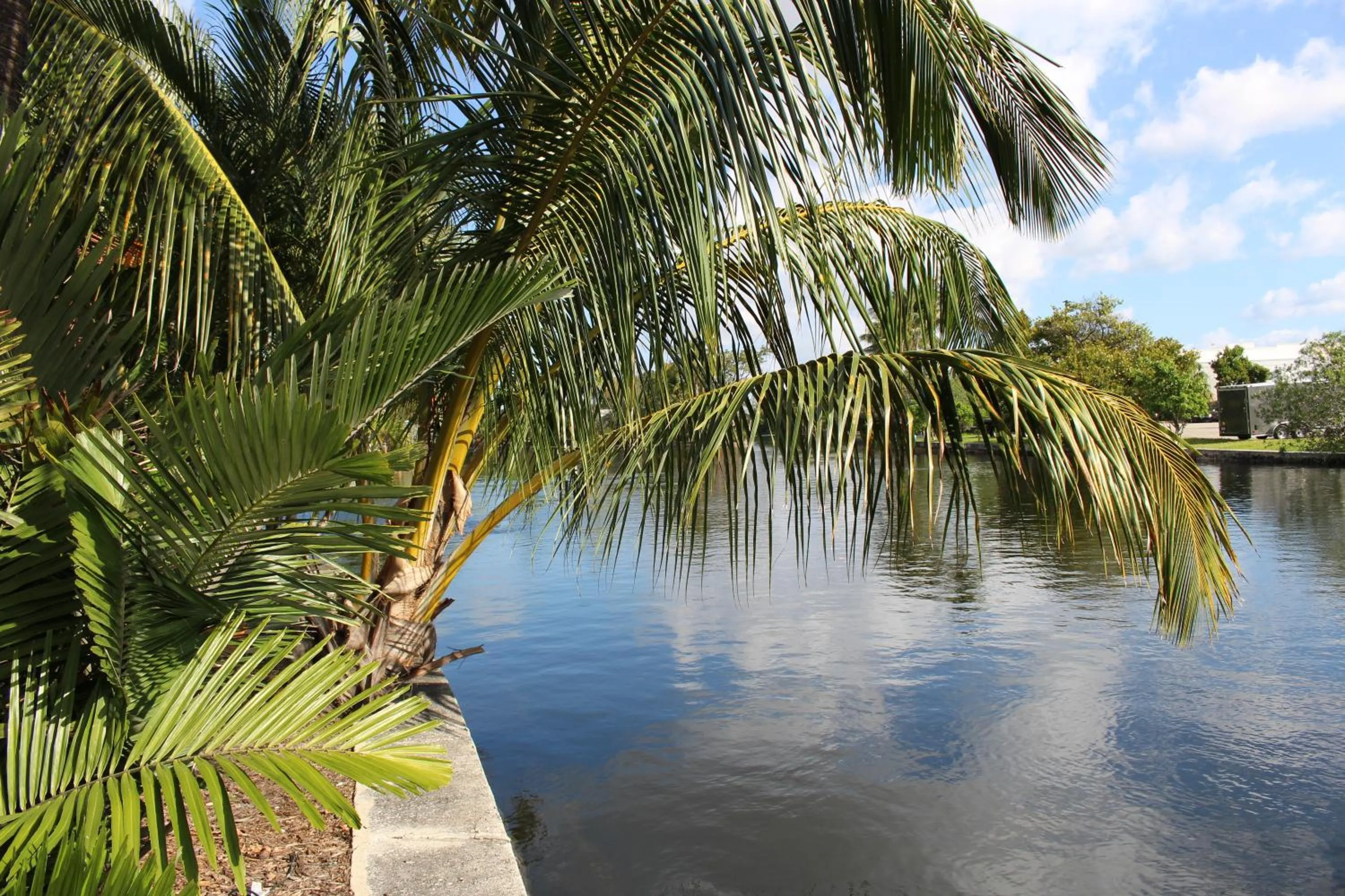 Area and facilities in The Cabanas Guesthouse & Spa - Gay Resort catering to Gay Men