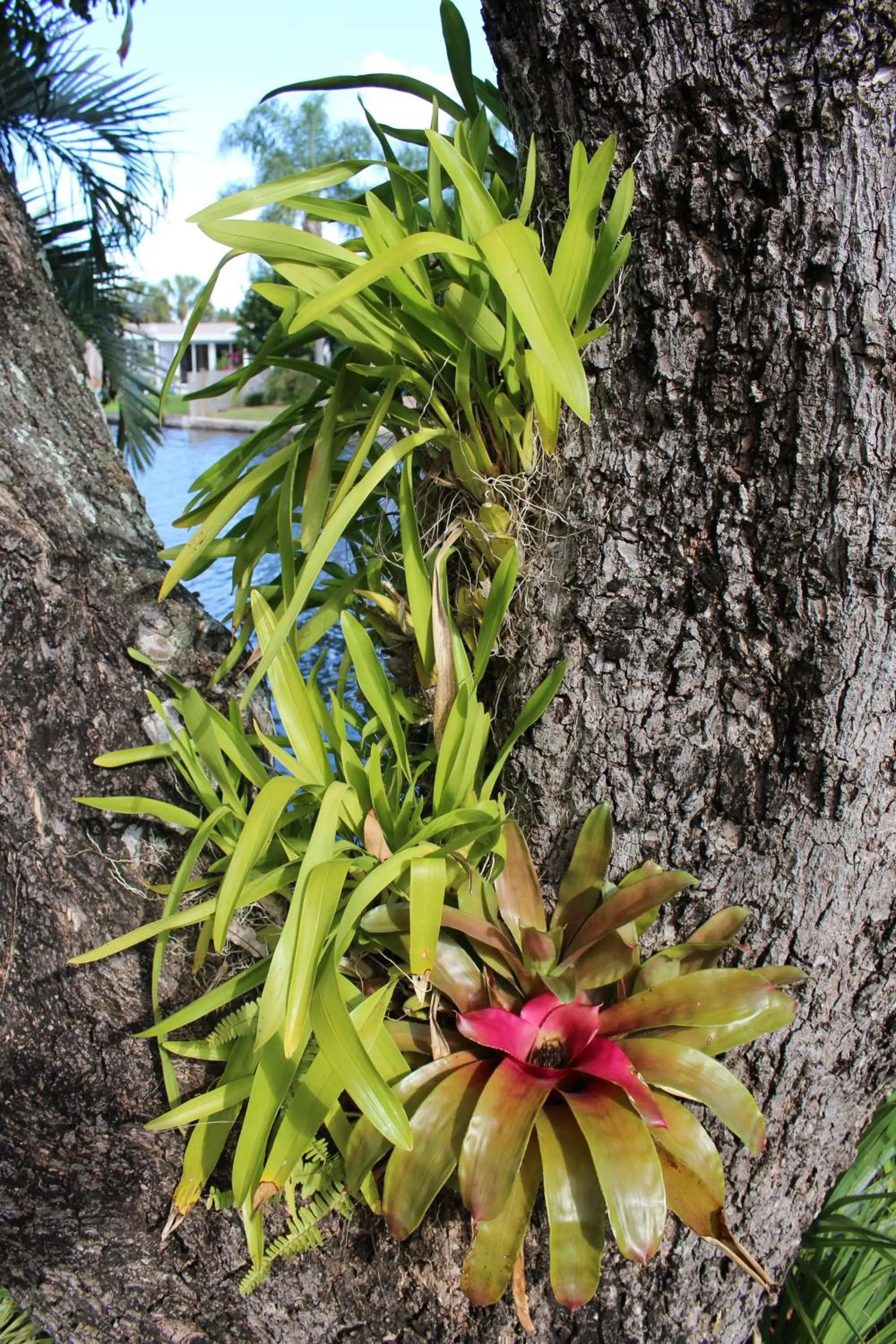 Other in The Cabanas Guesthouse & Spa - Gay Resort catering to Gay Men