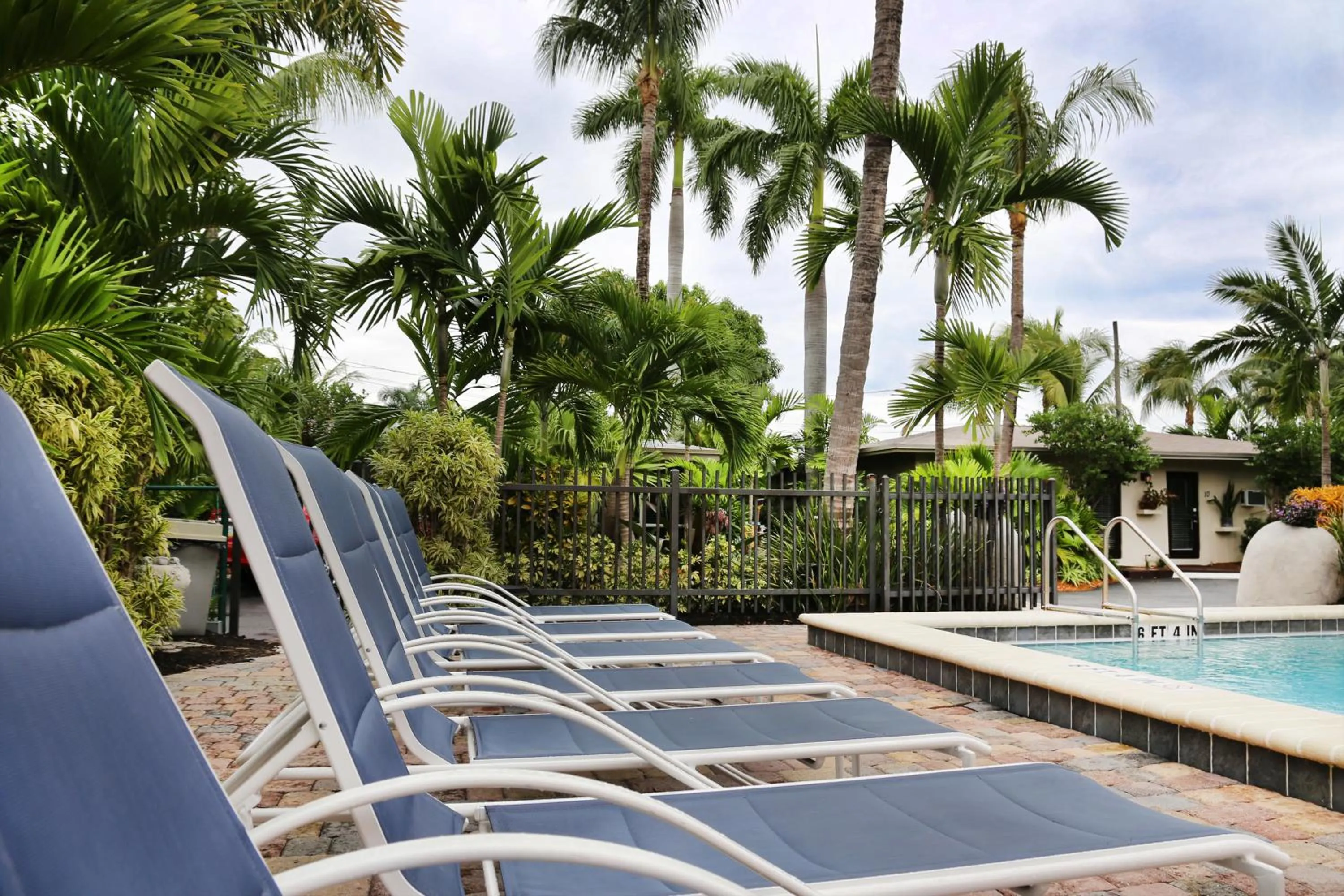 Swimming pool in The Cabanas Guesthouse & Spa - Gay Resort catering to Gay Men
