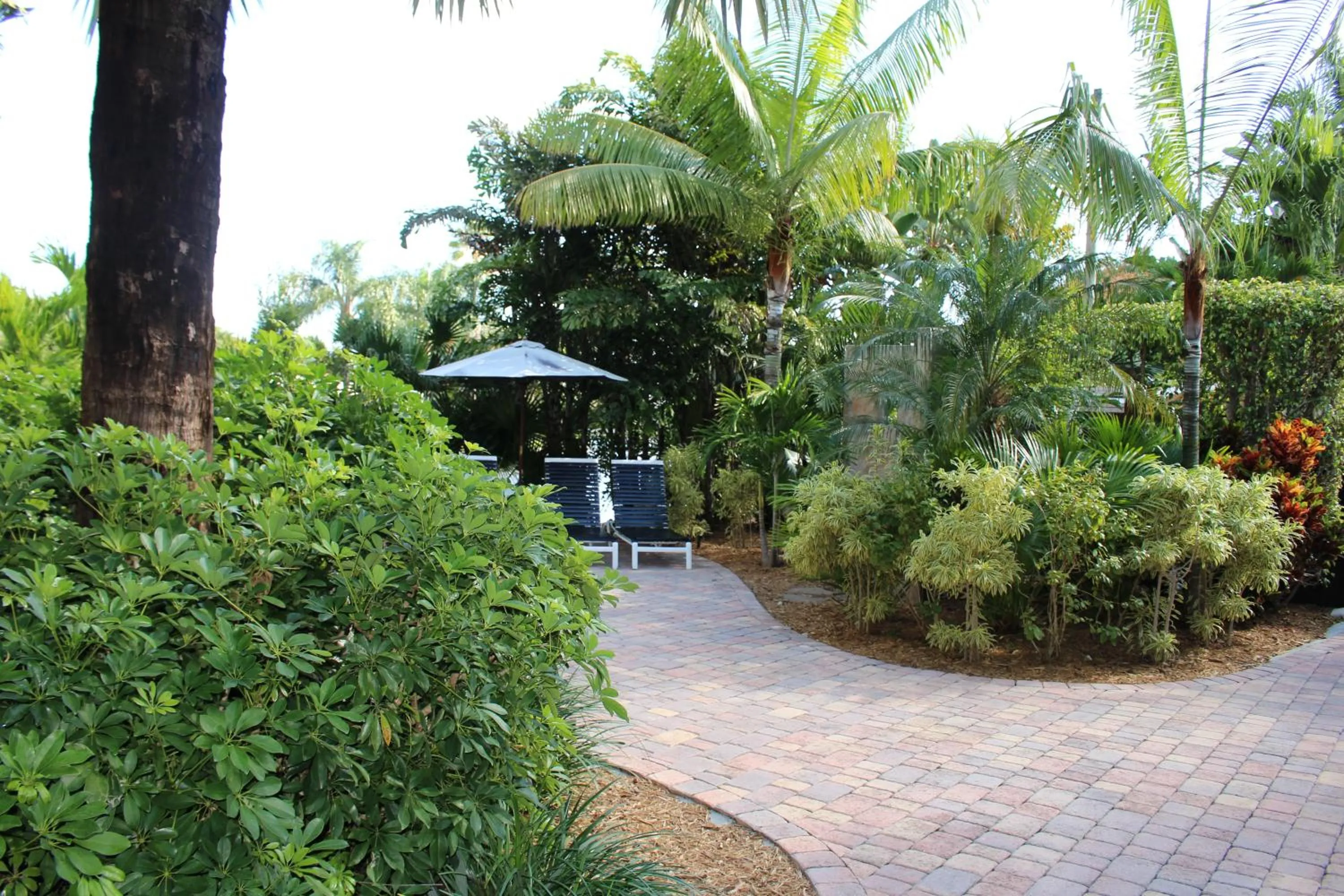 Garden in The Cabanas Guesthouse & Spa - Gay Resort catering to Gay Men