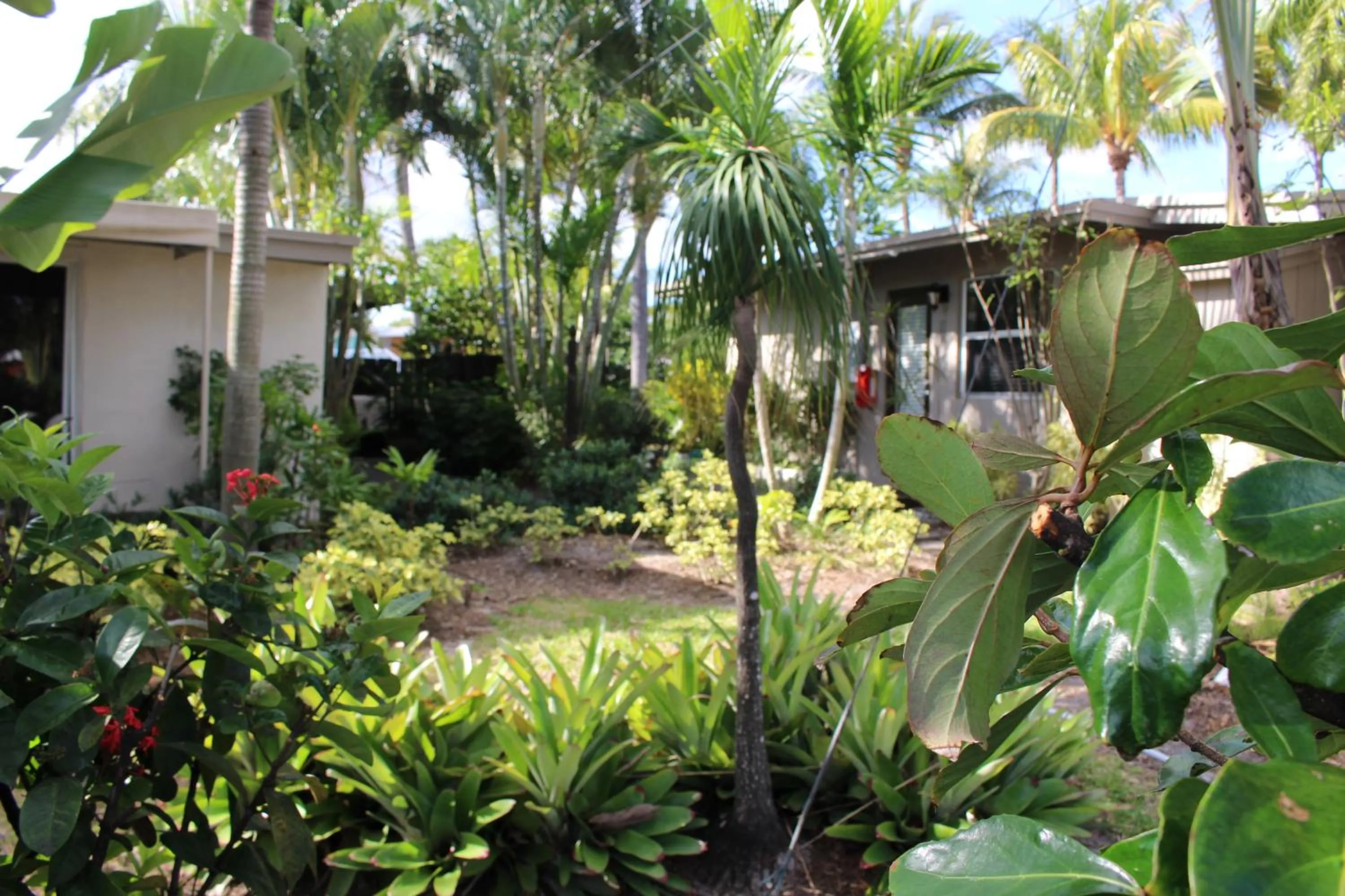 Other in The Cabanas Guesthouse & Spa - Gay Resort catering to Gay Men