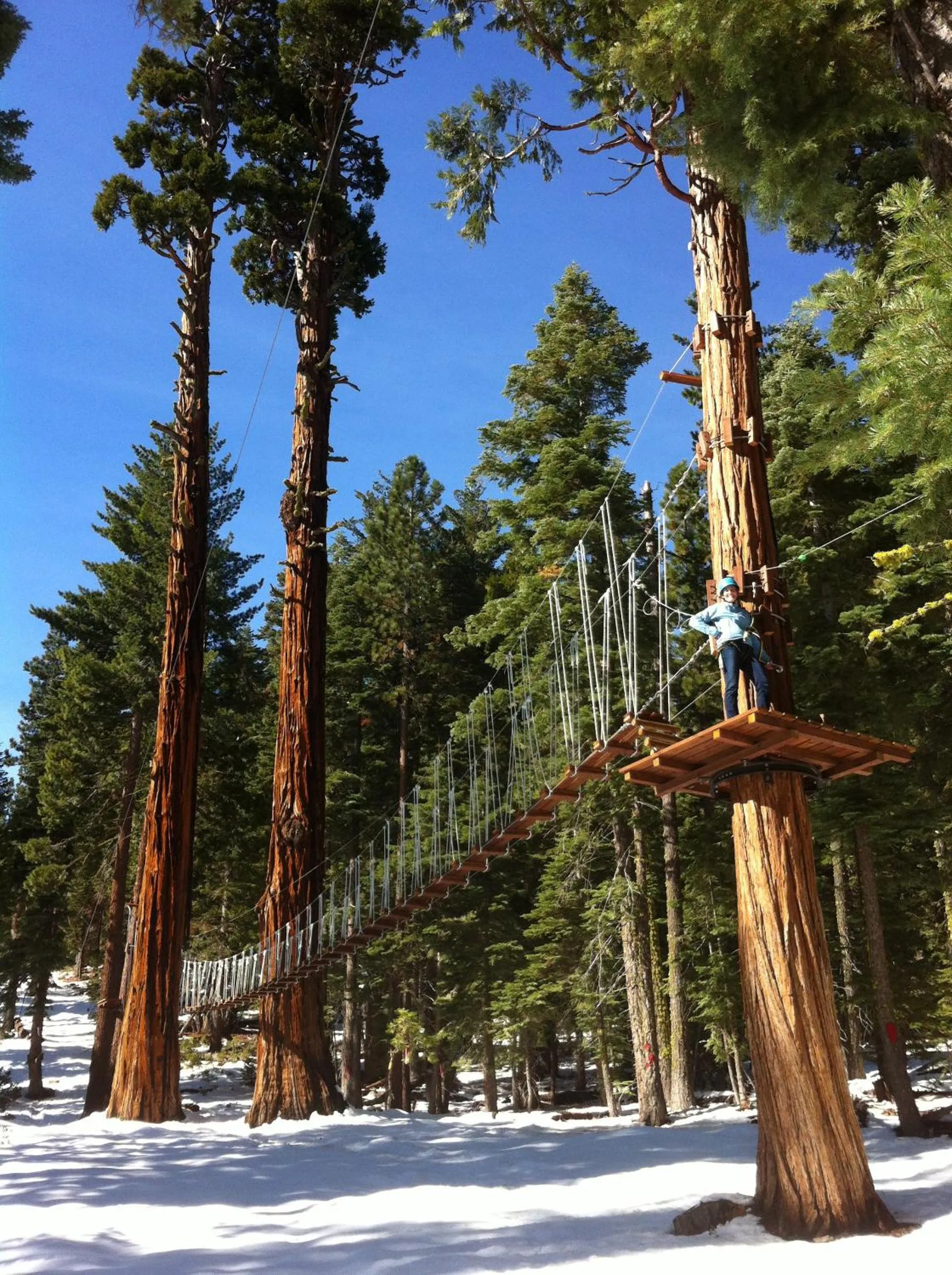 Area and facilities in Granlibakken Tahoe