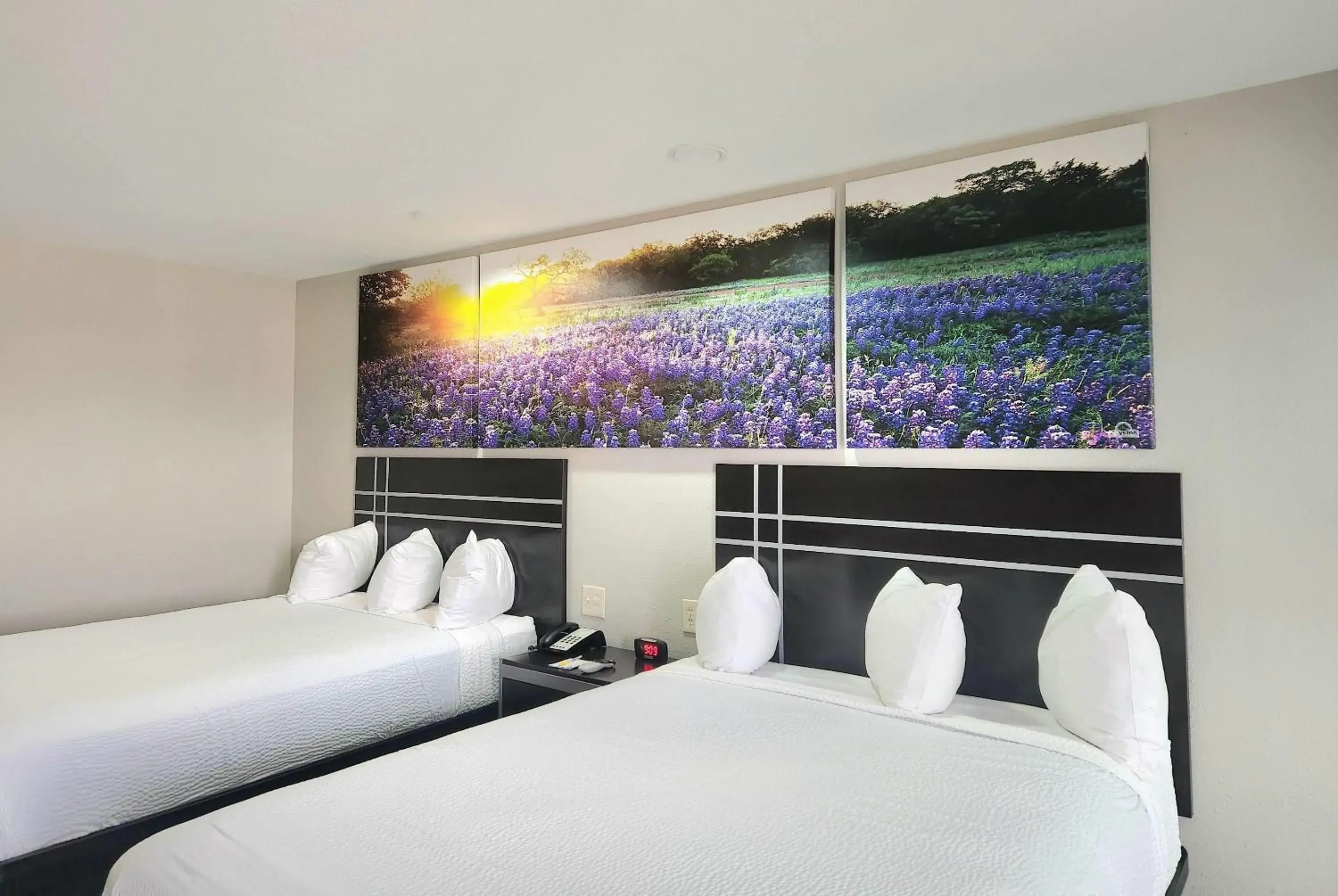 Photo of the whole room, Bed in Days Inn by Wyndham Baytown TX Photo of the whole room, Bed in Days Inn by Wyndham Baytown TX