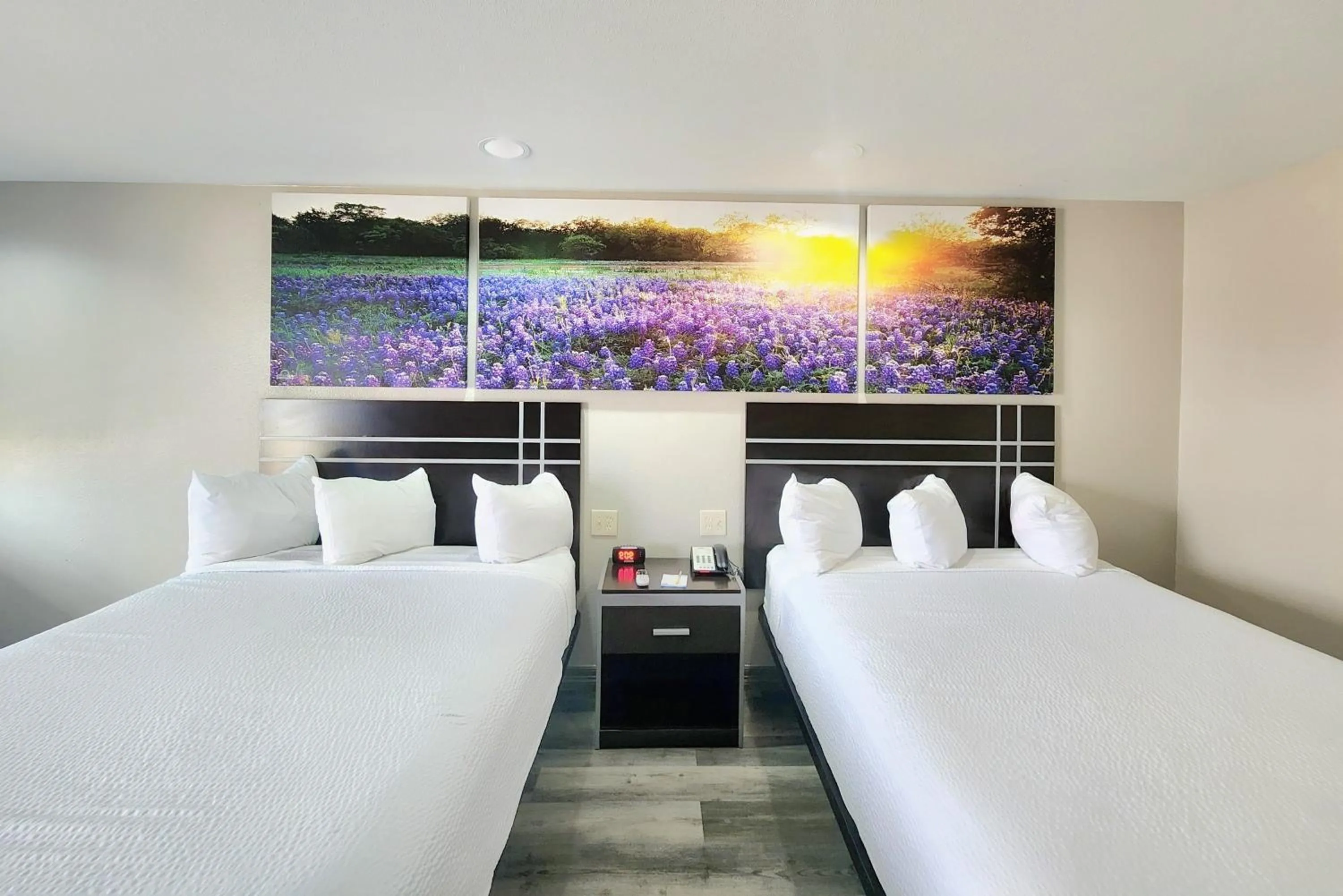 Bedroom, Bed in Days Inn by Wyndham Baytown TX