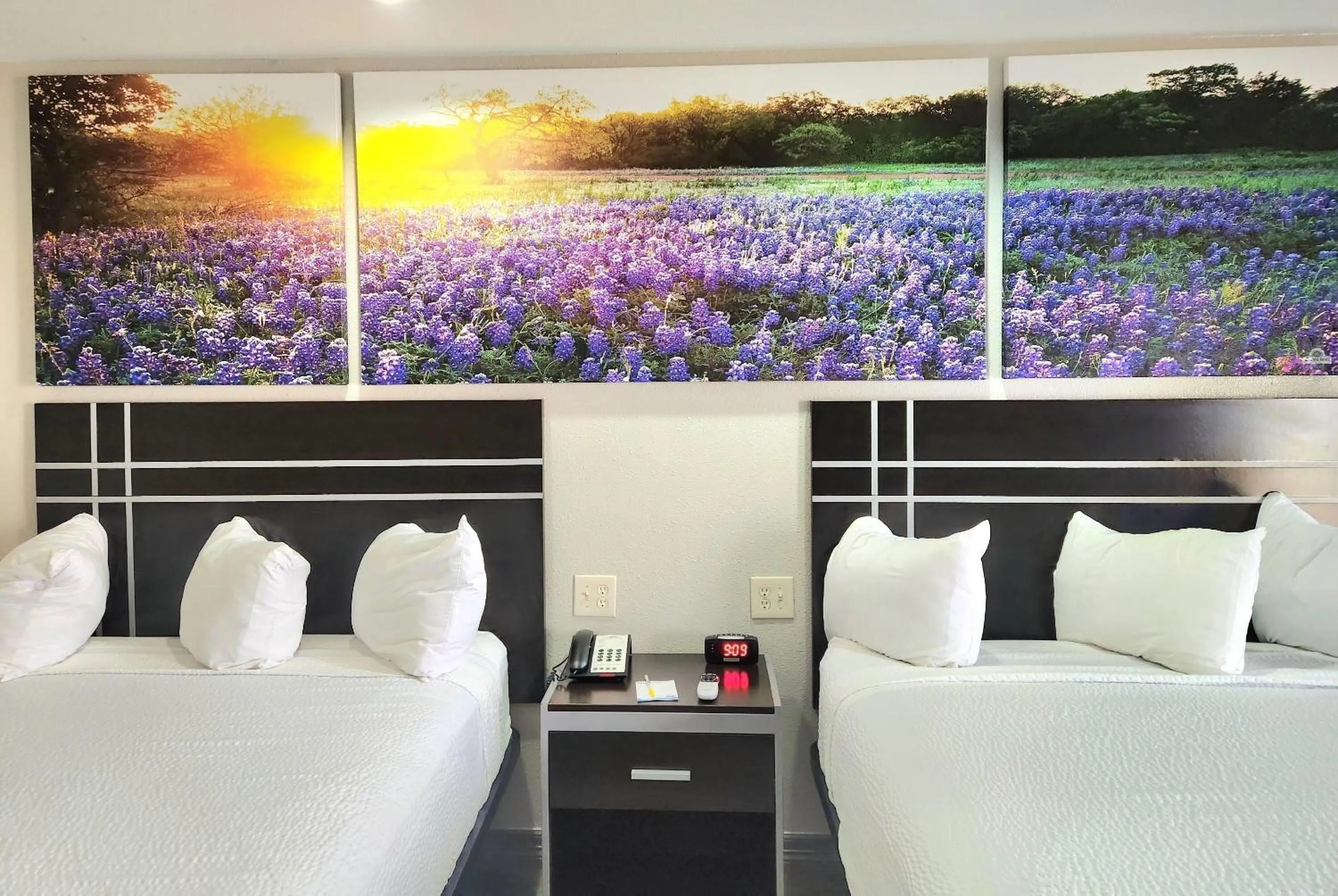 Photo of the whole room in Days Inn by Wyndham Baytown TX