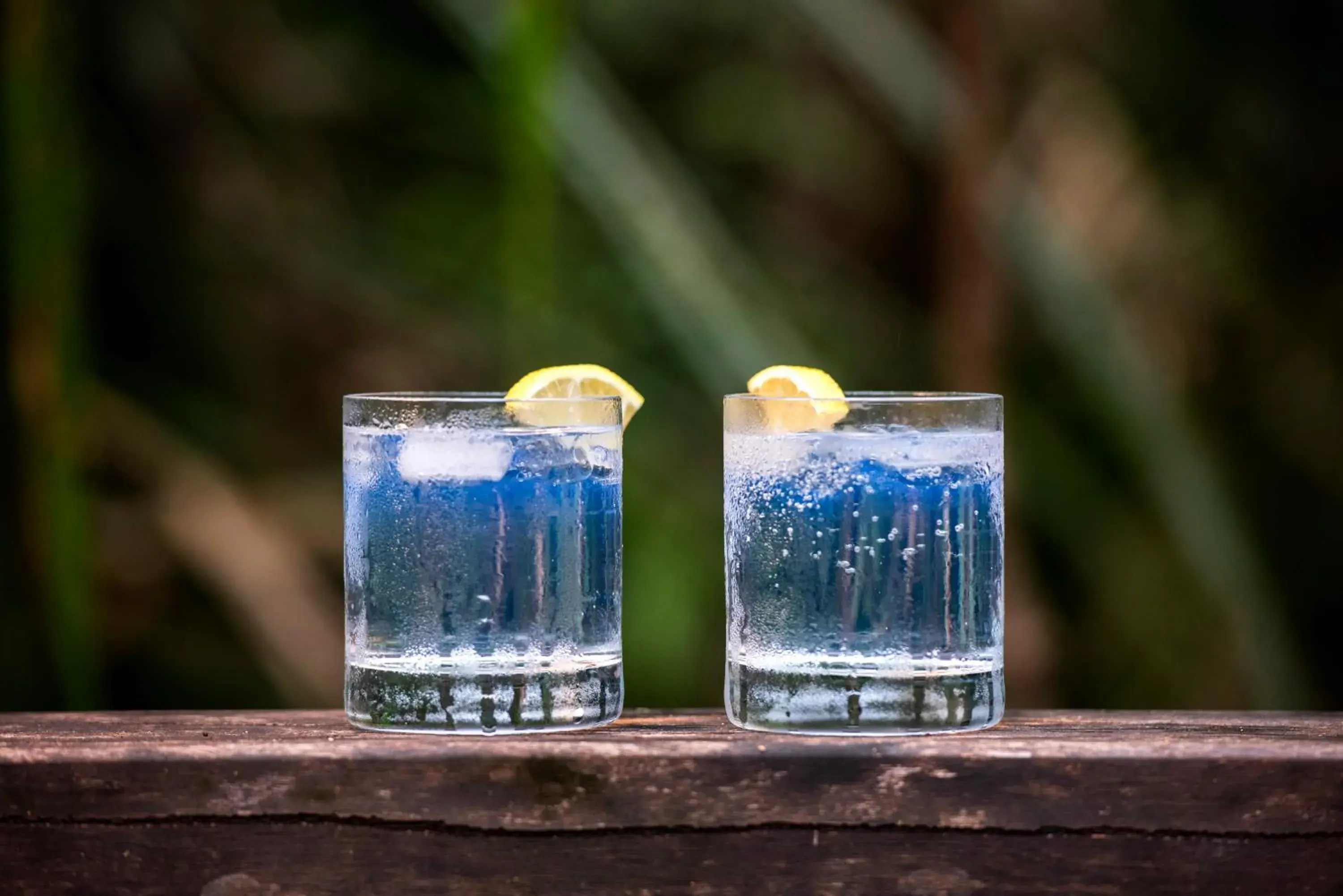 Restaurant/places to eat in Daintree Wilderness Lodge Restaurant/places to eat in Daintree Wilderness Lodge