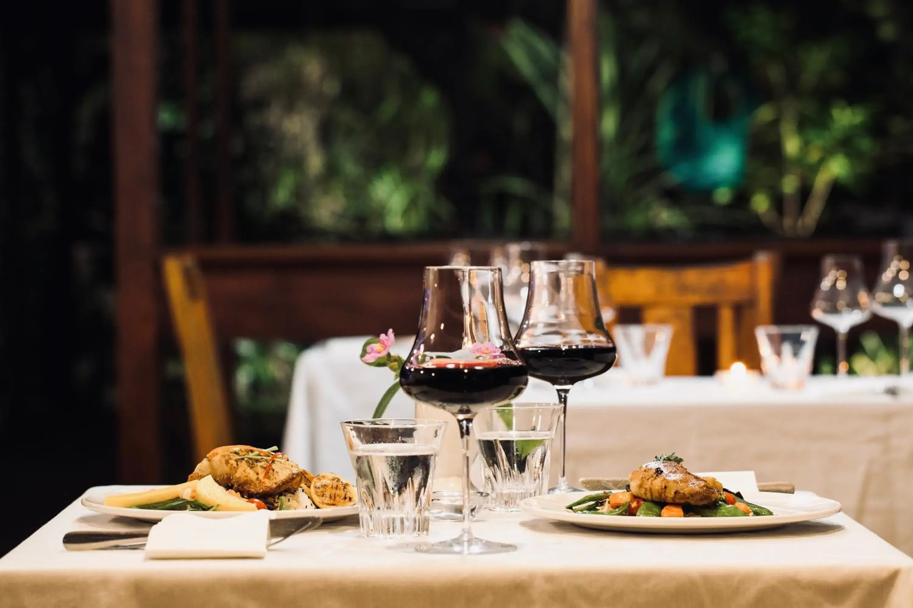 Restaurant/places to eat in Daintree Wilderness Lodge Restaurant/places to eat in Daintree Wilderness Lodge