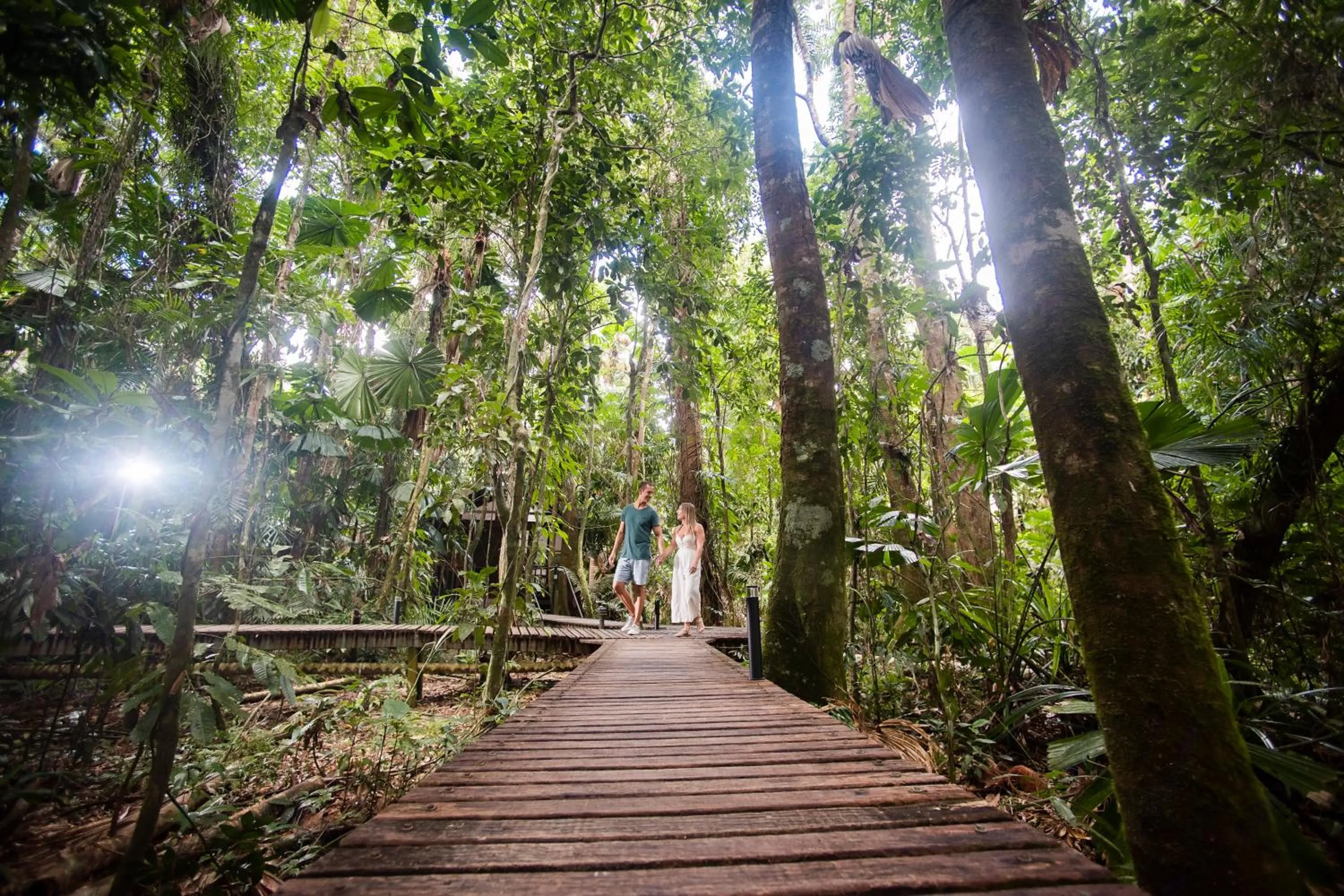 Natural landscape in Daintree Wilderness Lodge