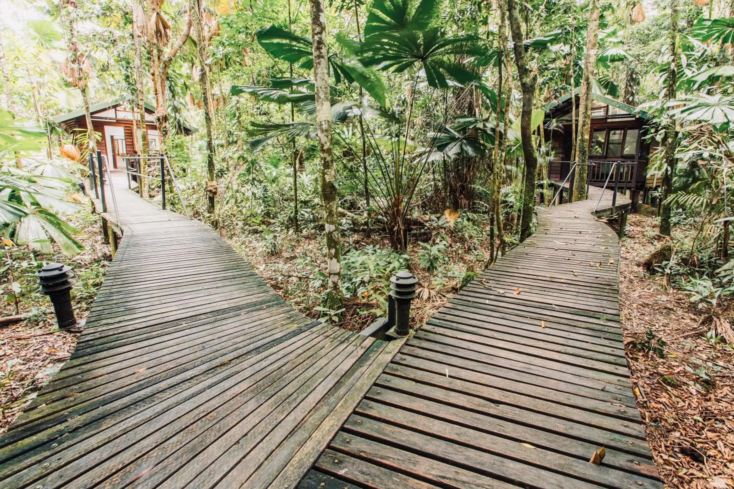 Facade/entrance in Daintree Wilderness Lodge Facade/entrance in Daintree Wilderness Lodge