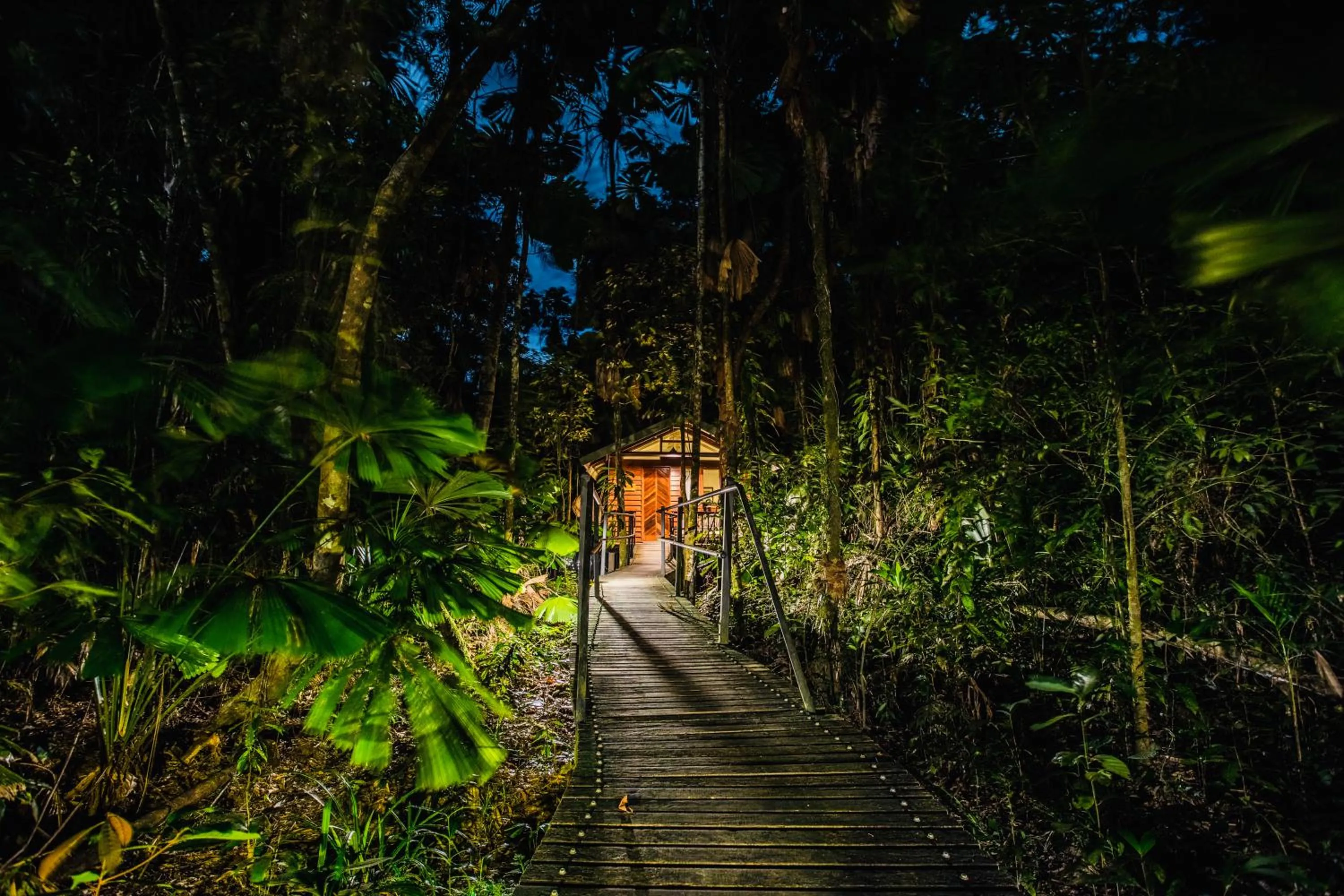 Property building in Daintree Wilderness Lodge