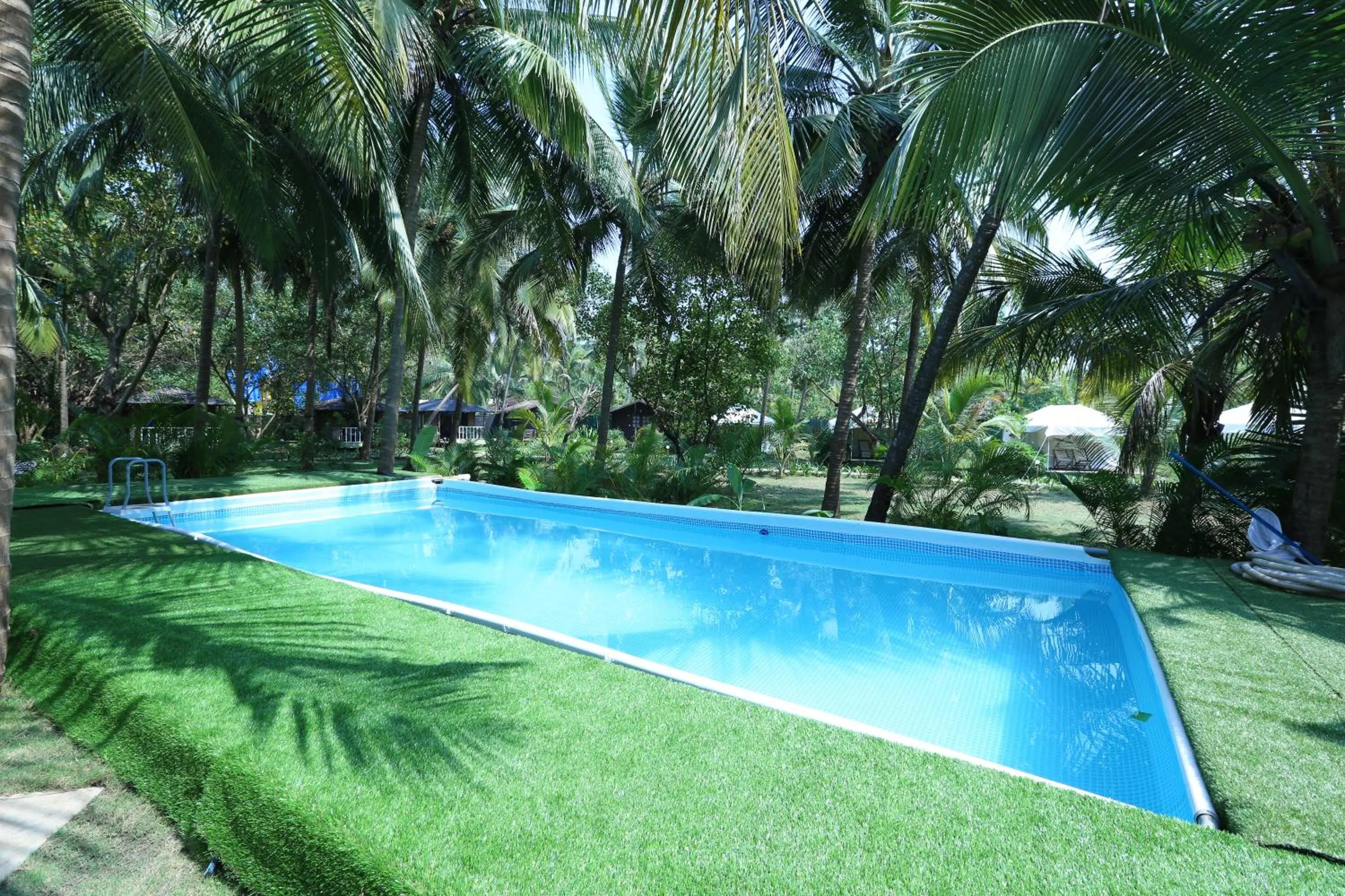 Swimming pool in Montego Bay Beach Village - Morjim