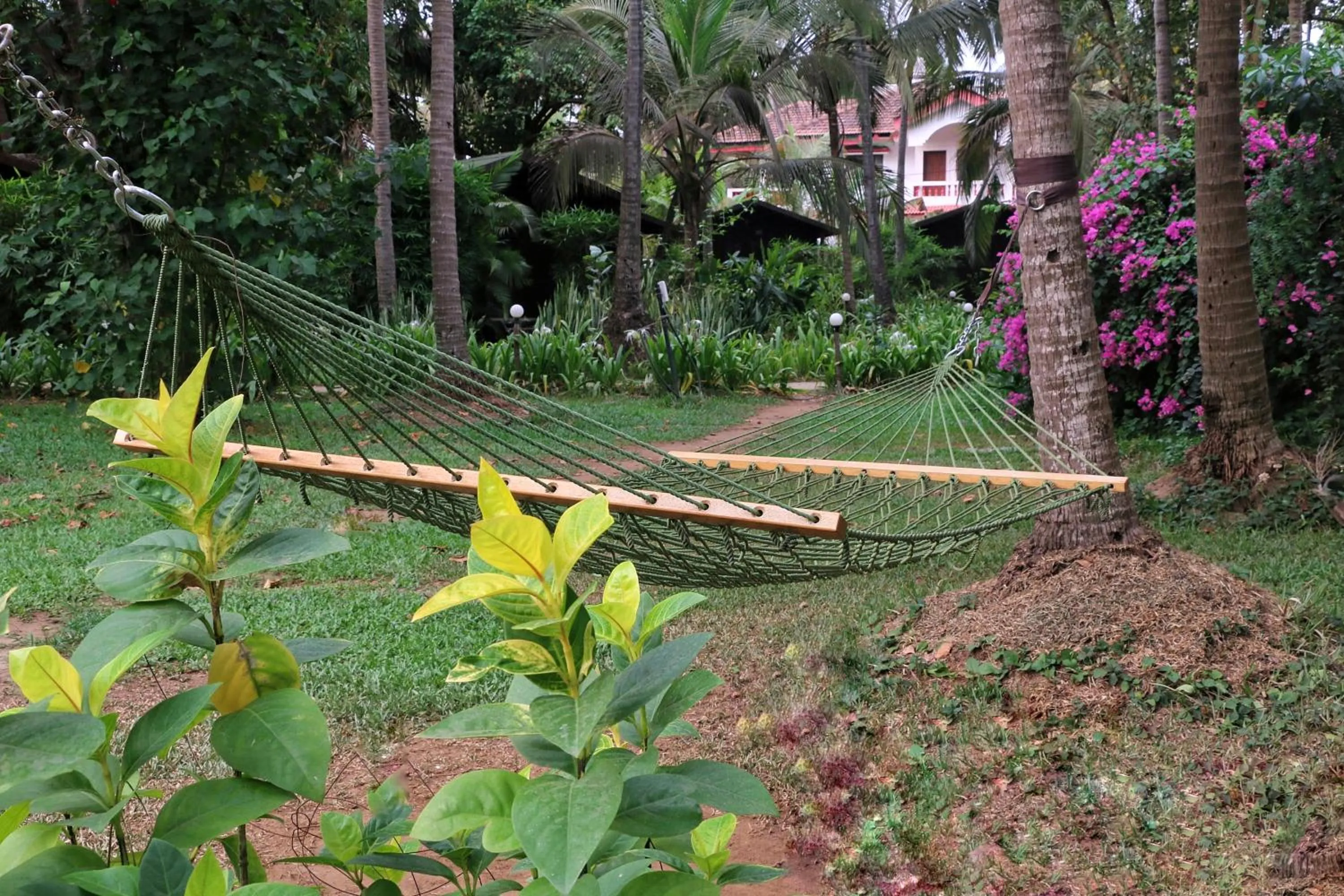 Living room in Montego Bay Beach Village - Morjim