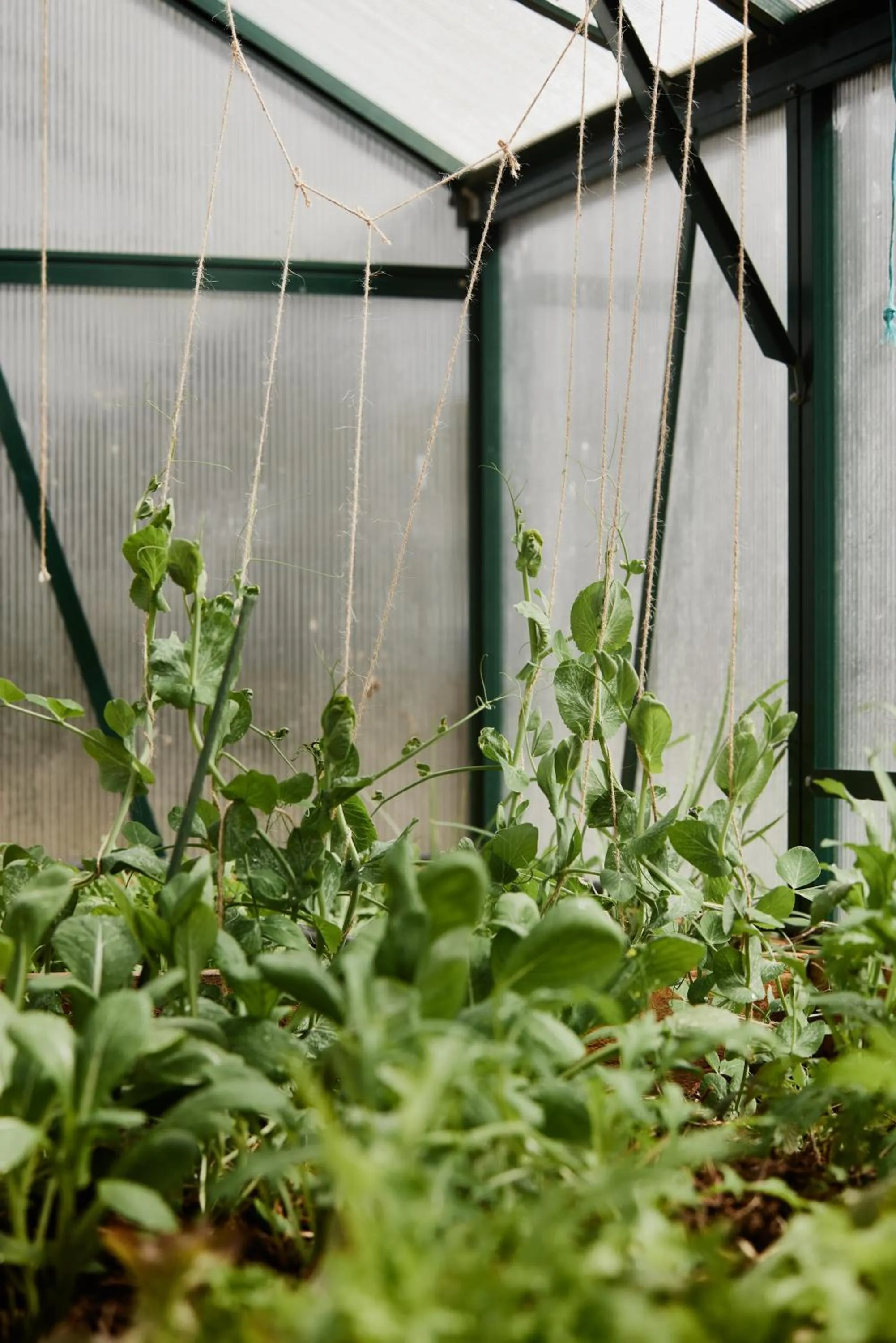 Restaurant/places to eat in Freycinet Resort