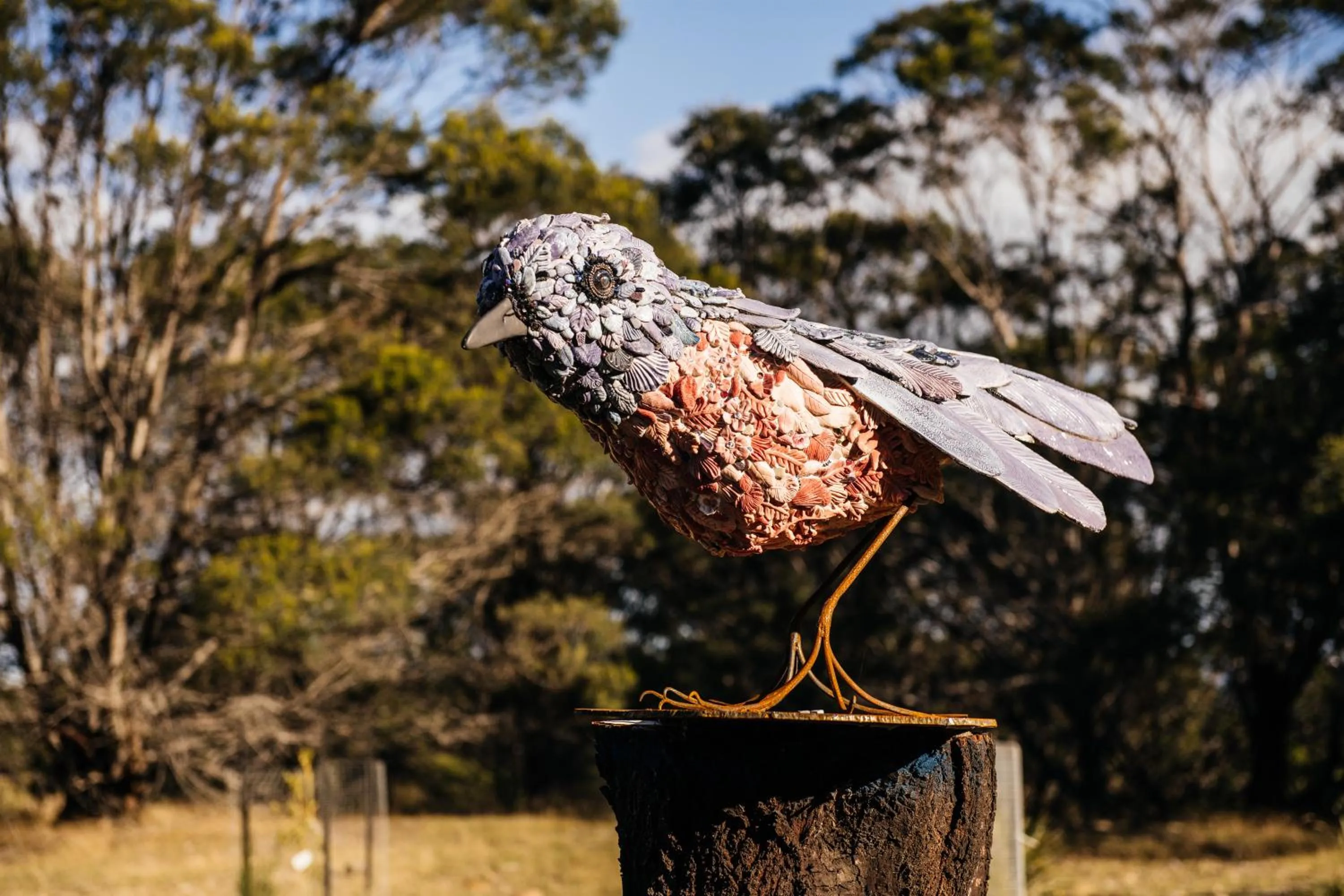 Garden in Freycinet Resort
