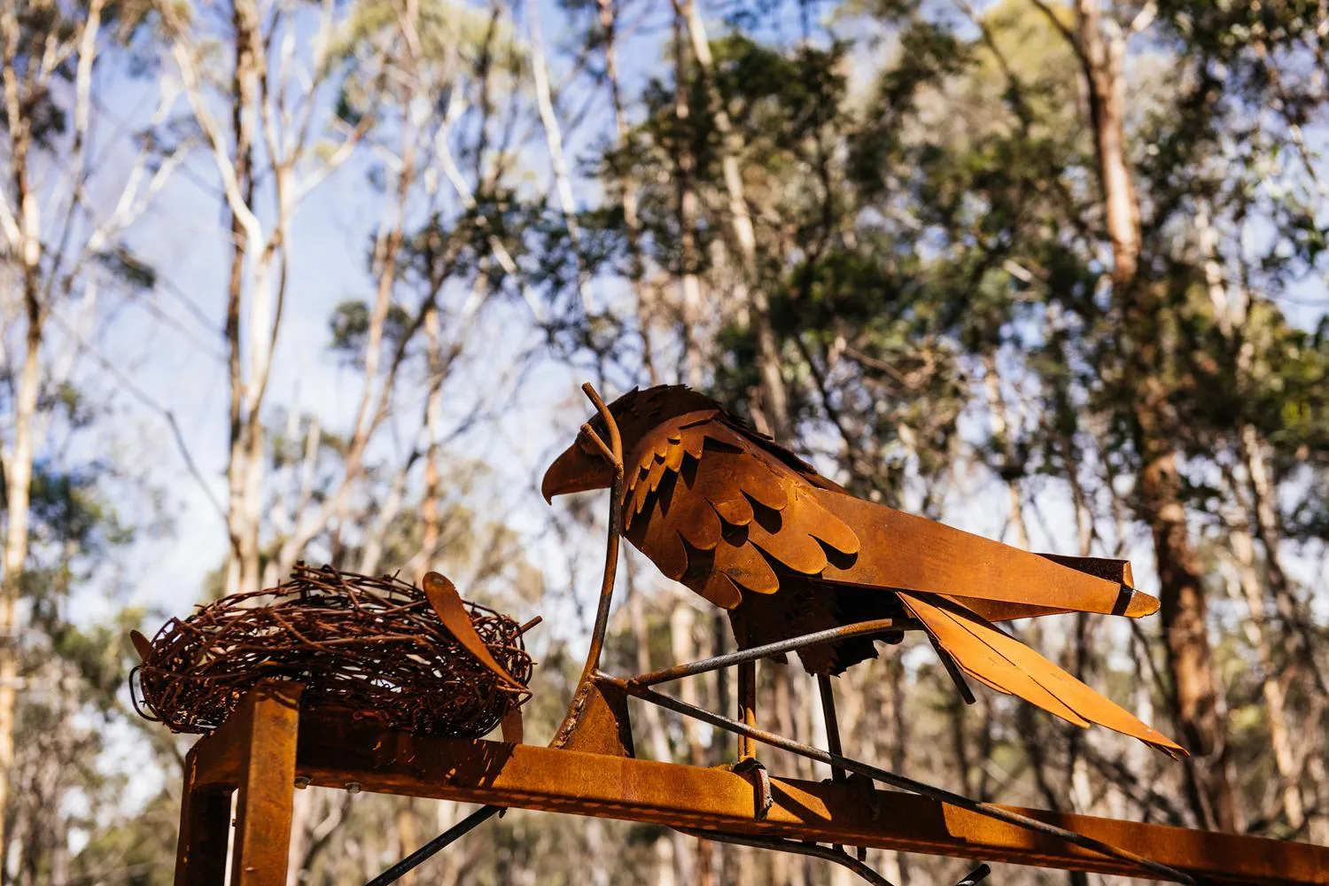 Hiking in Freycinet Resort