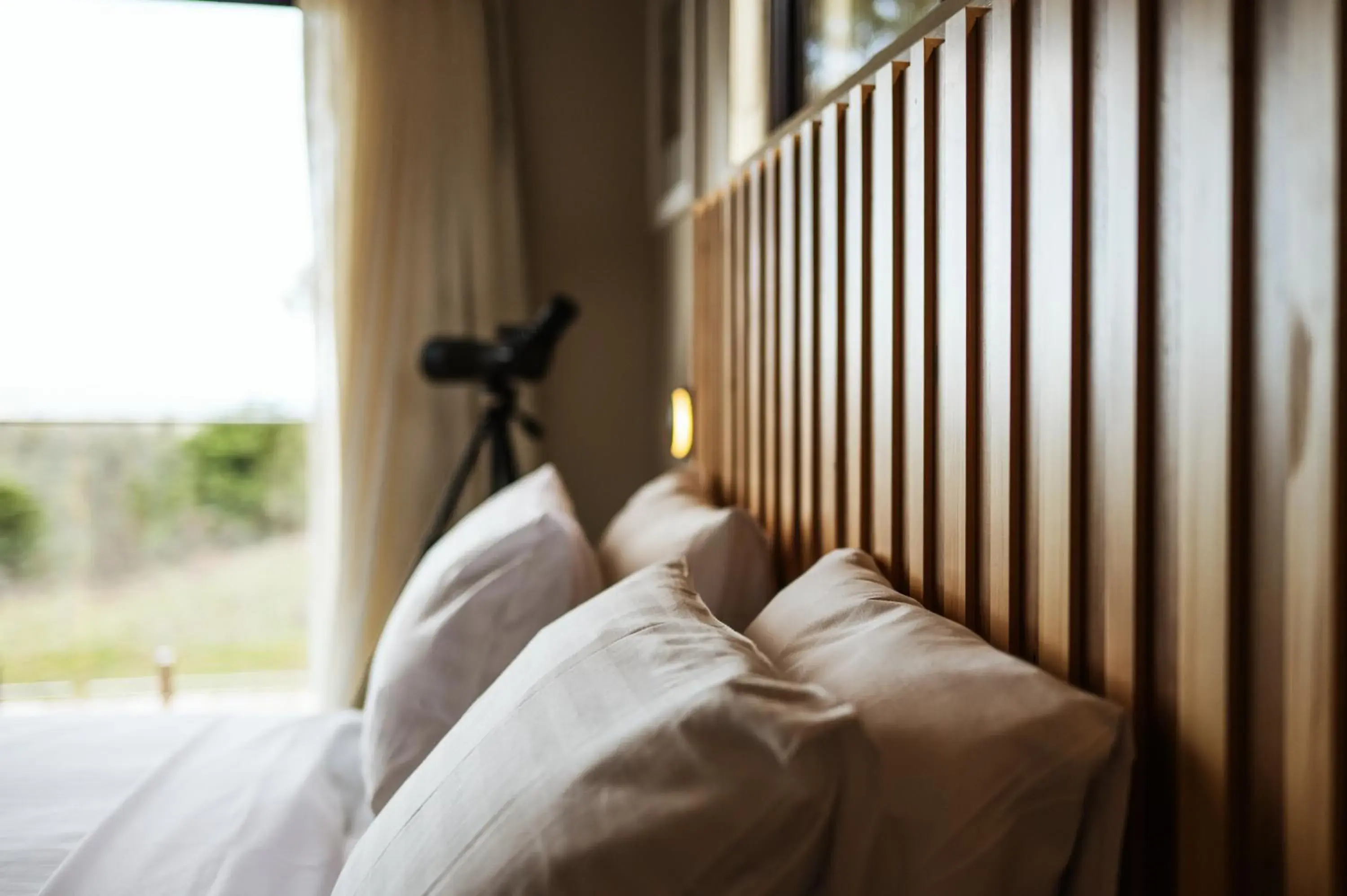 Bed in Freycinet Resort Bed in Freycinet Resort